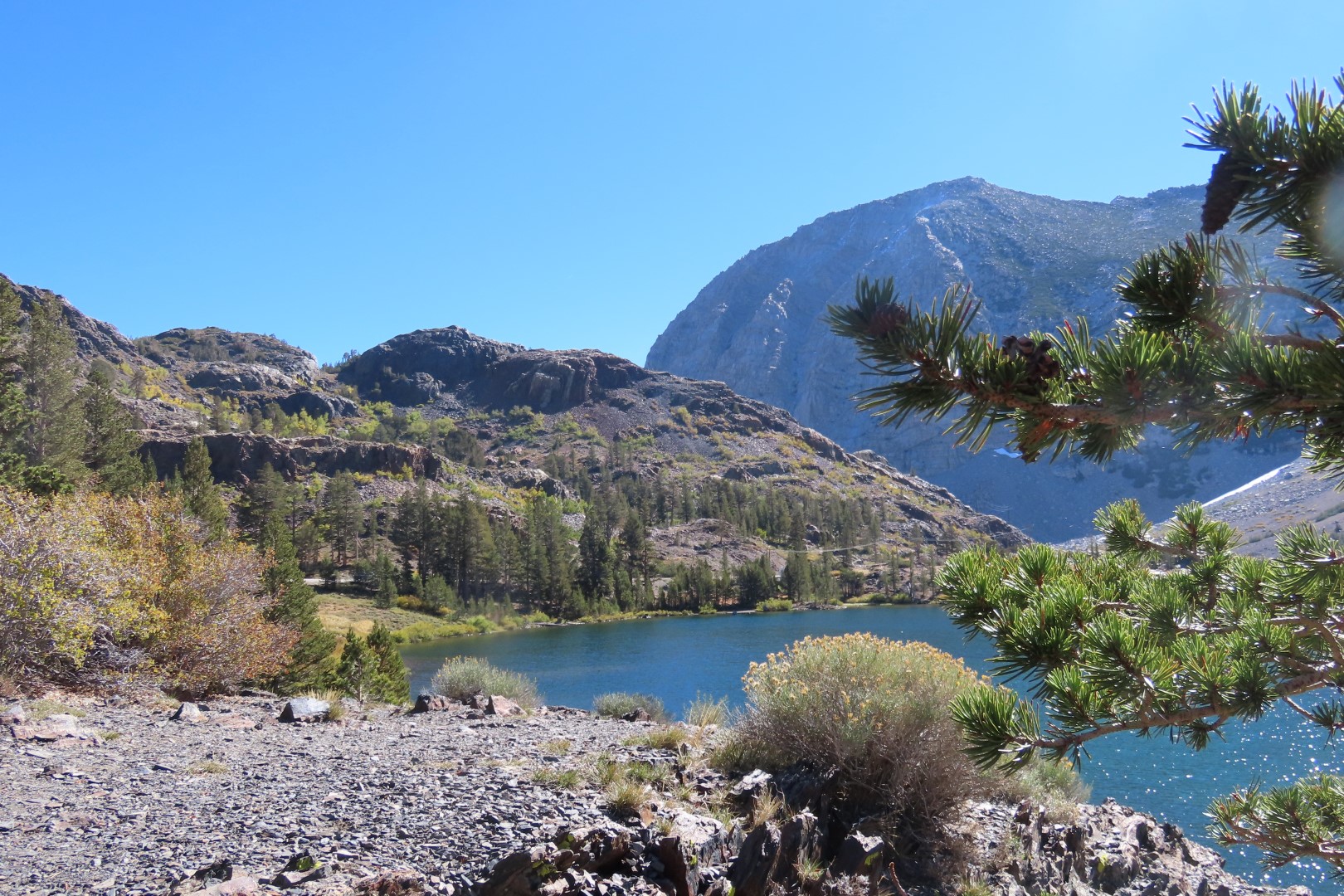 Yosemite National Park 47 of 79 (#7031)