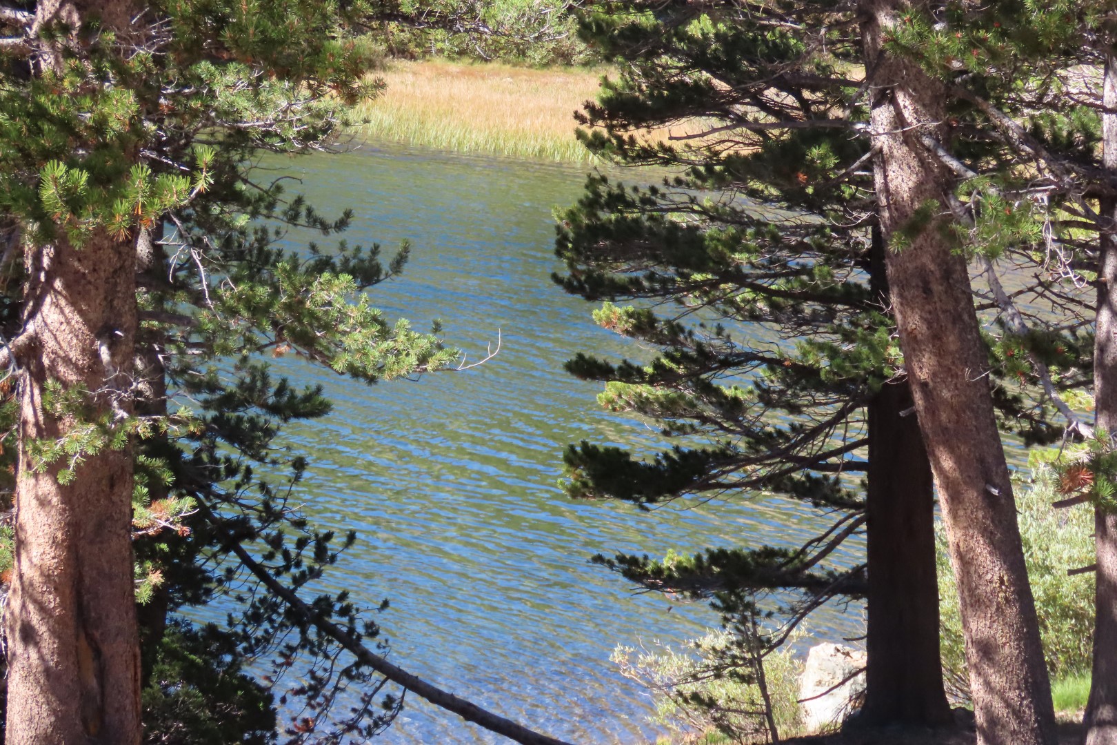 Yosemite National Park 49 of 79 (#7033)