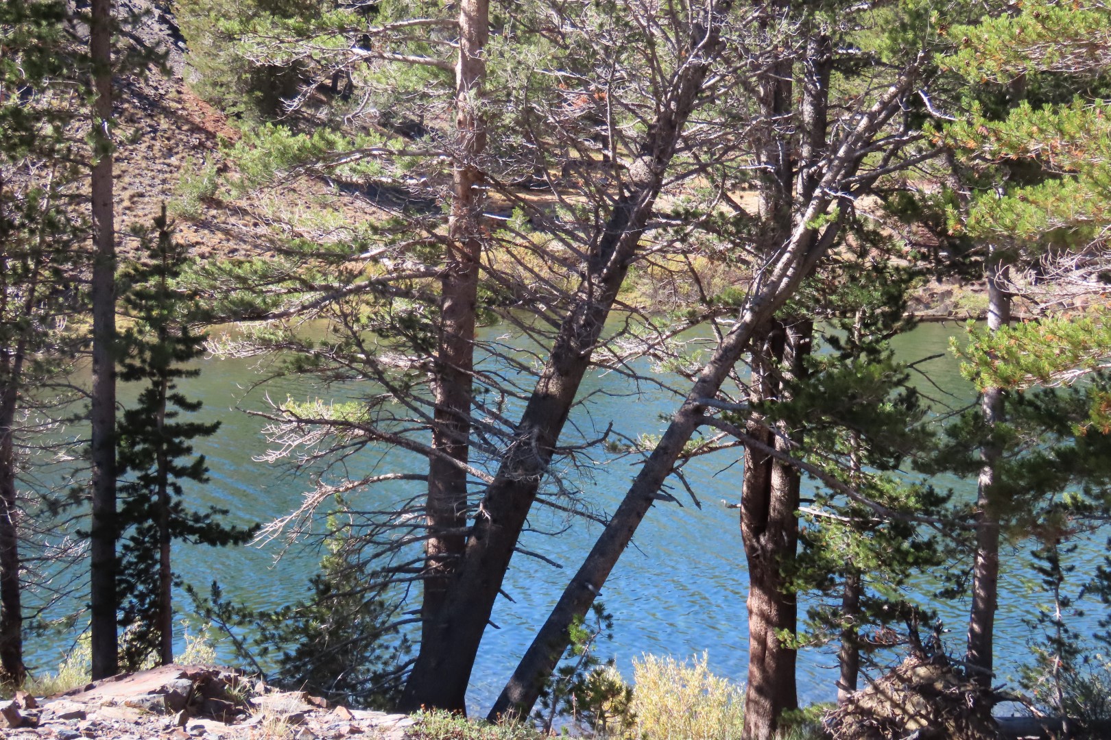 Yosemite National Park 50 of 79 (#7034)