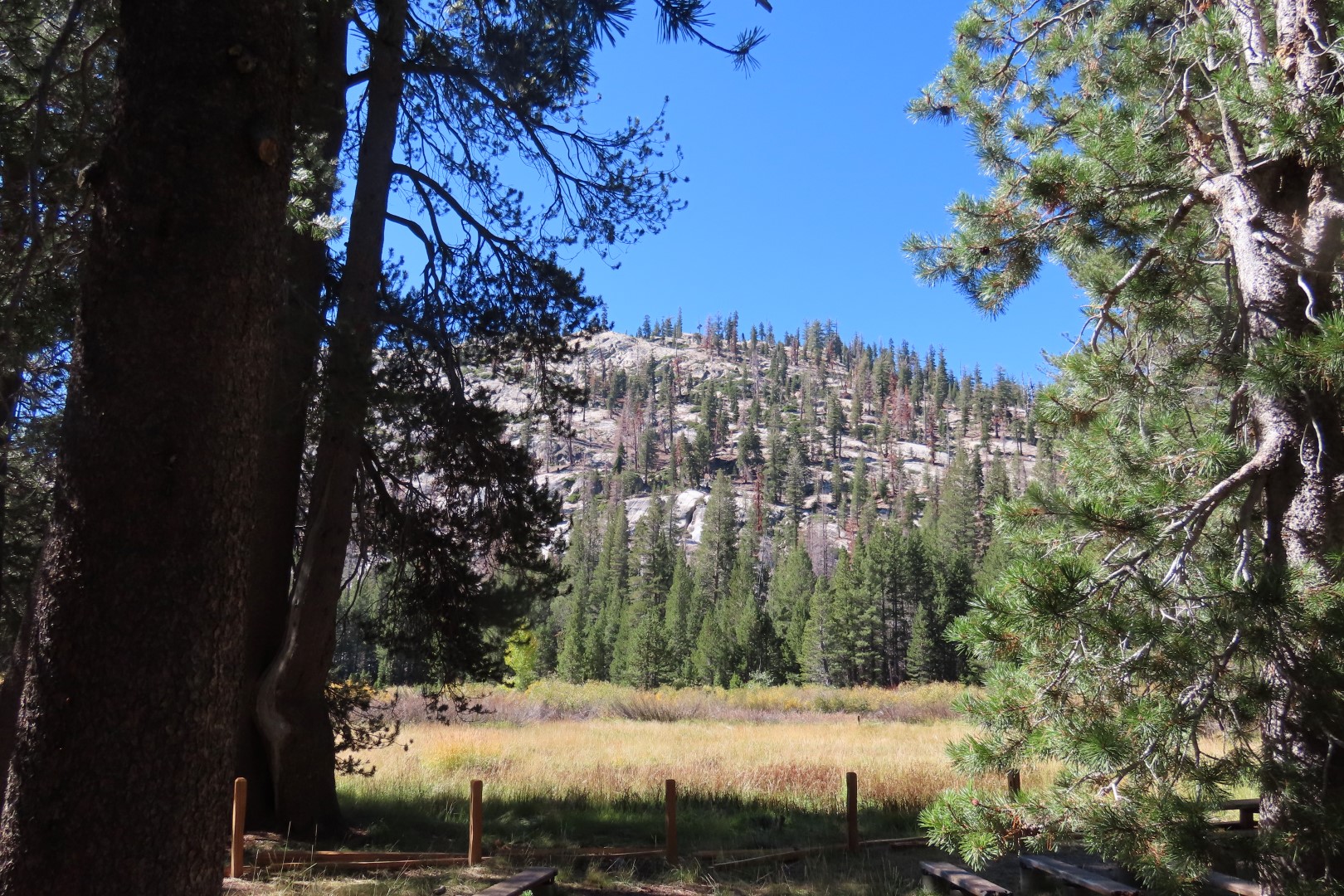 Devils Postpile National Monument 13 of 33 (#7050)