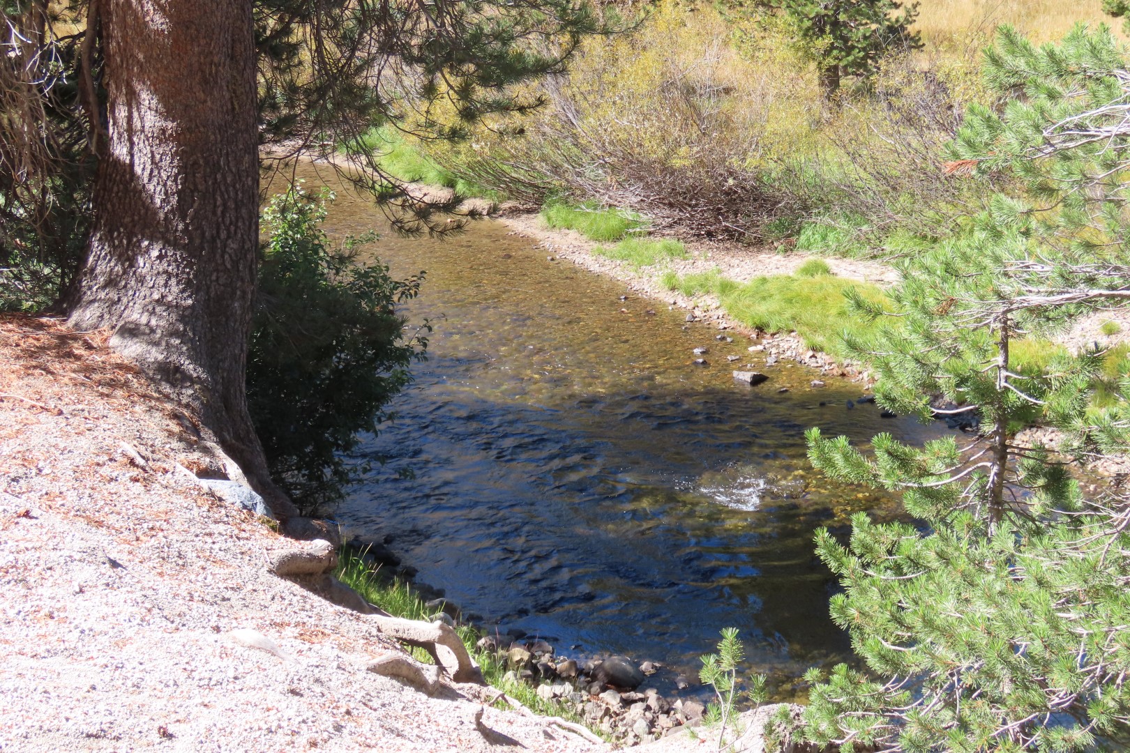 Devils Postpile National Monument 16 of 33 (#7054)