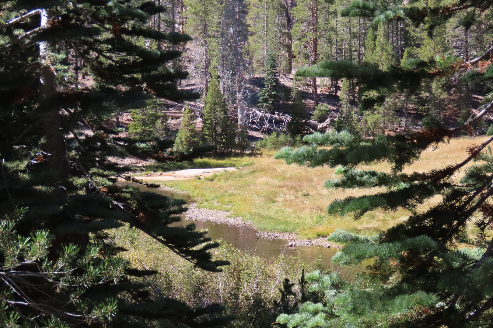 Devils Postpile National Monument 17 of 33 (#7055)
