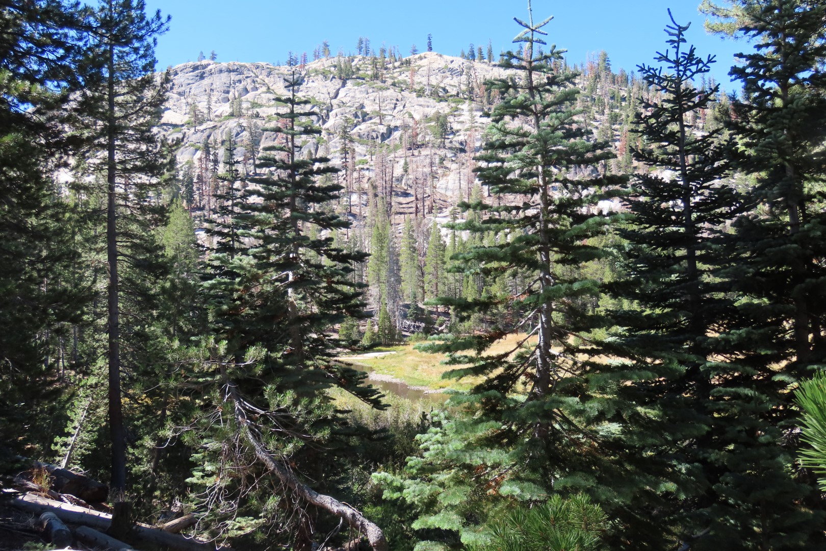 Devils Postpile National Monument 24 of 33 (#7056)
