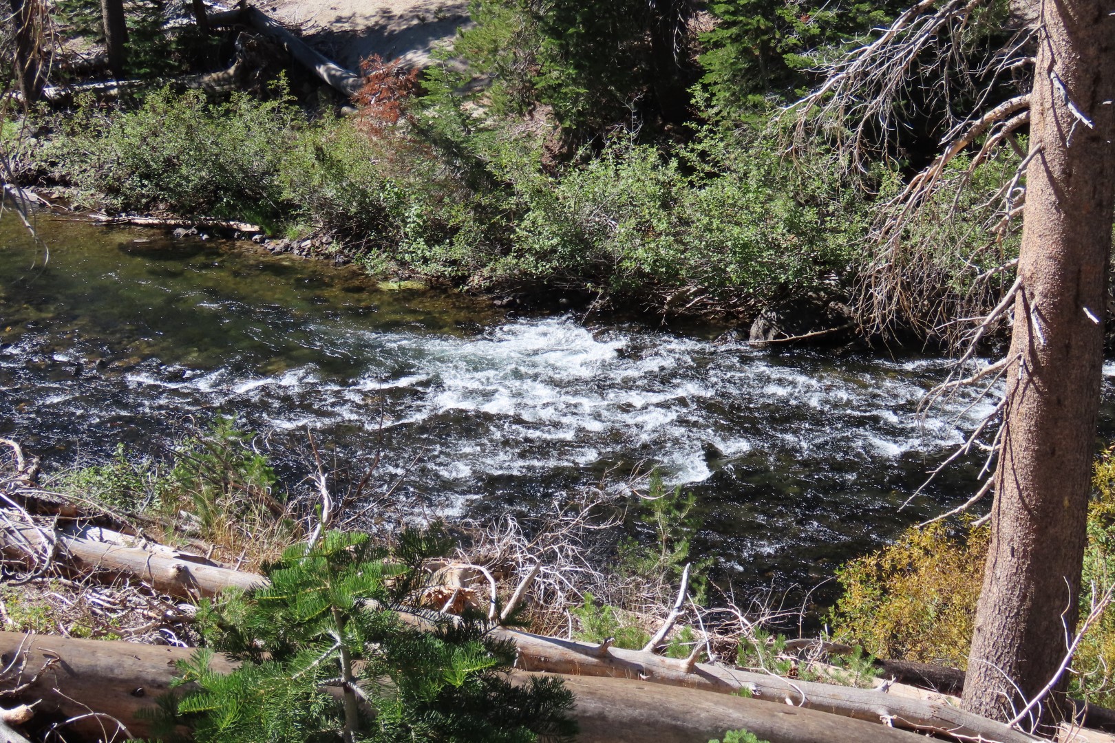 Devils Postpile National Monument 18 of 33 (#7057)