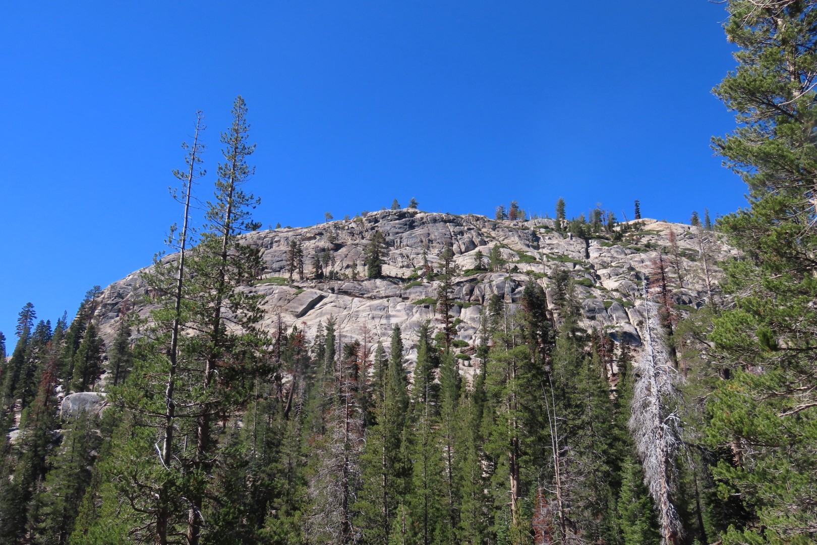 Devils Postpile National Monument 14 of 33 (#7058)