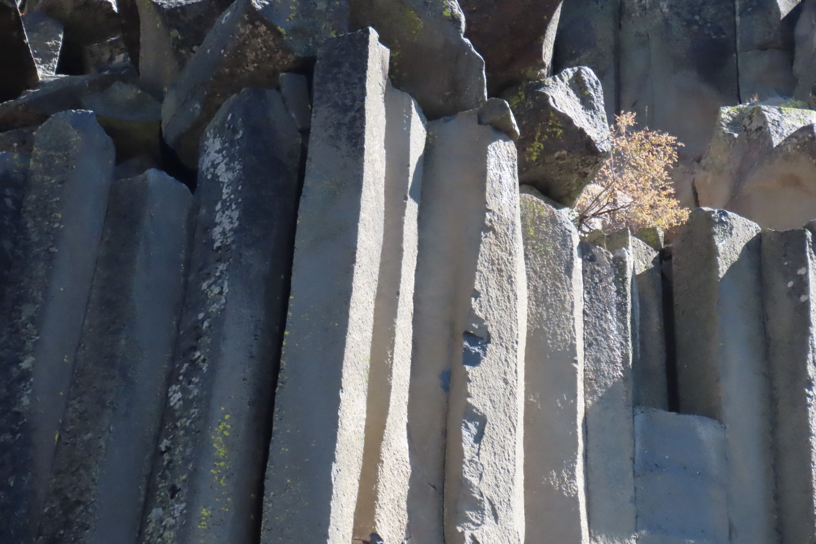 Devils Postpile National Monument 31 of 33 (#7064)