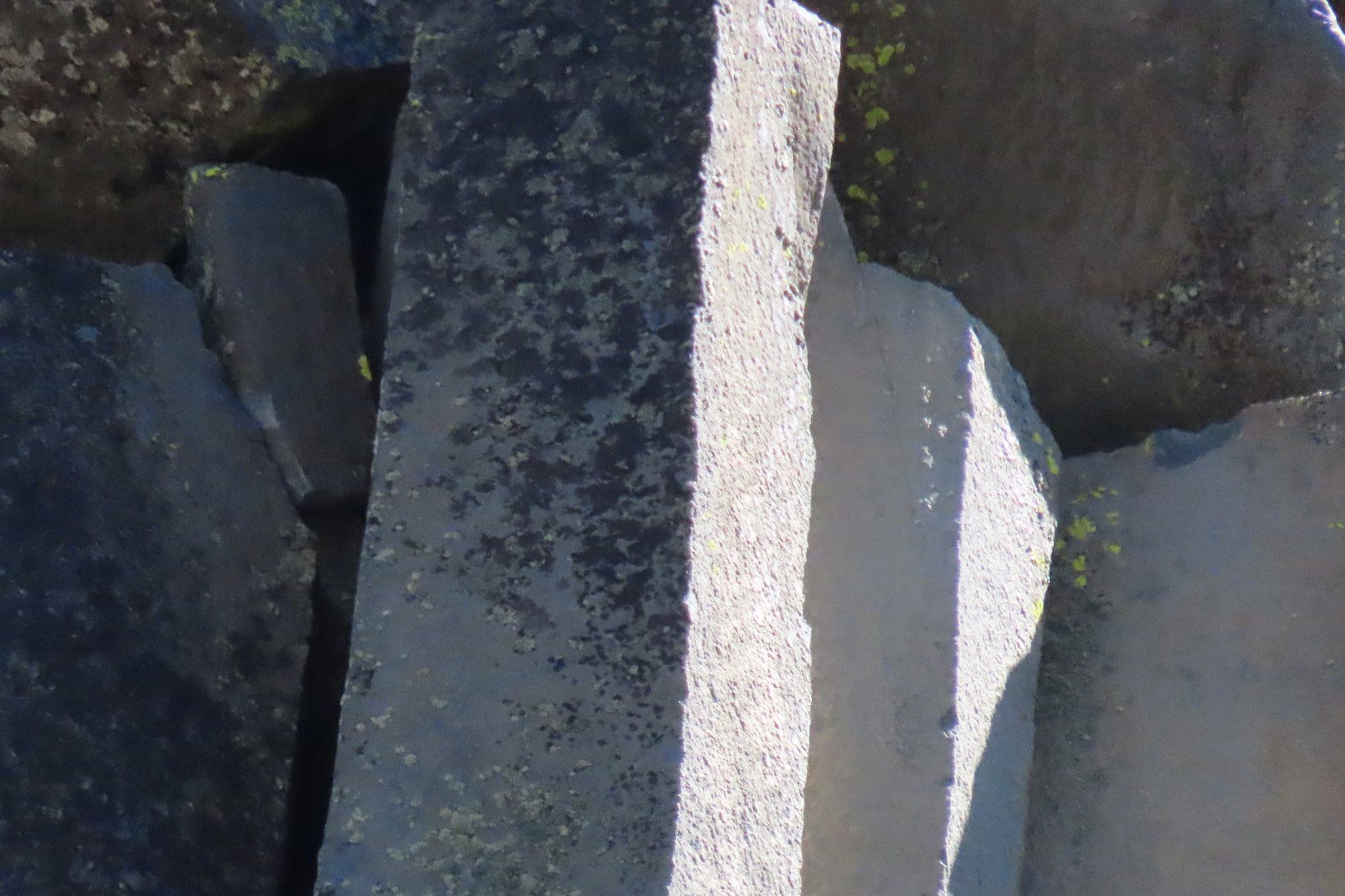 Devils Postpile National Monument 32 of 33 (#7065)