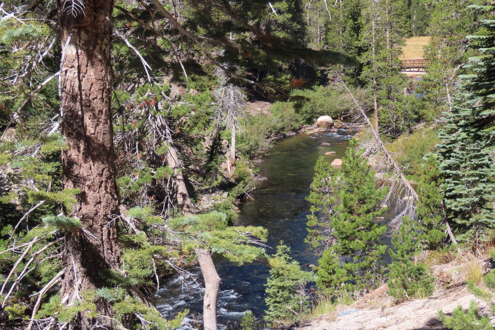 Devils Postpile National Monument 19 of 33 (#7067)