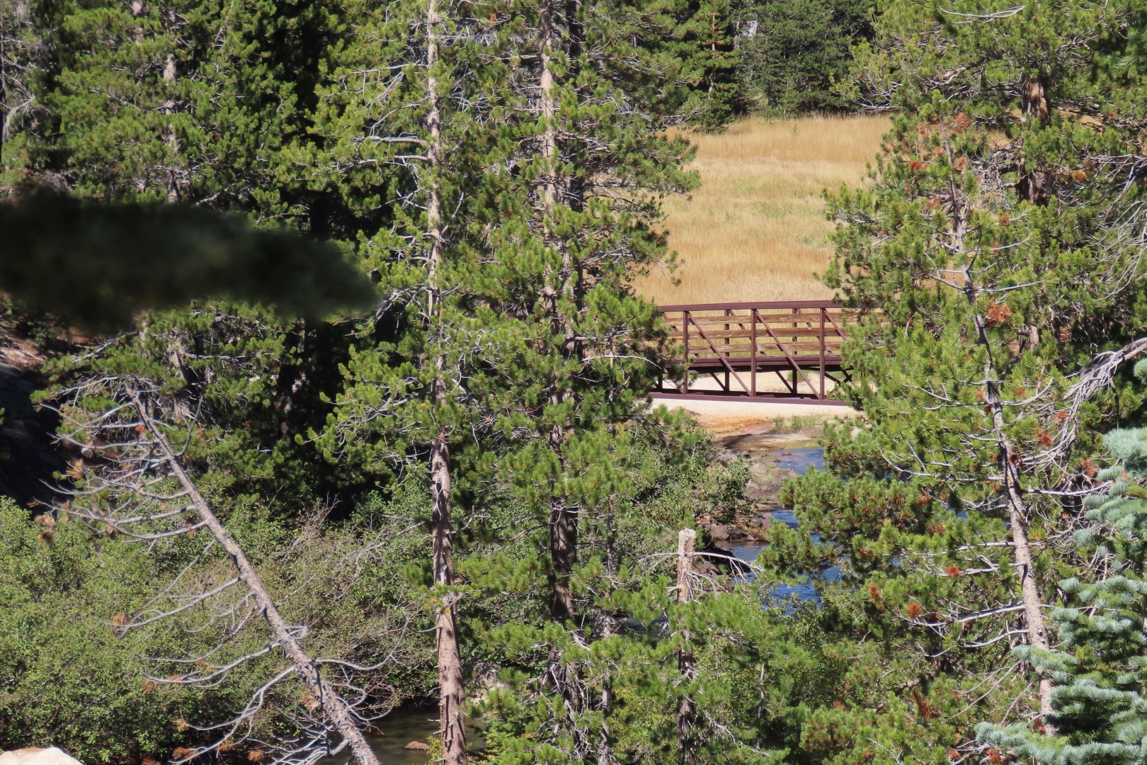 Devils Postpile National Monument 20 of 33 (#7068)