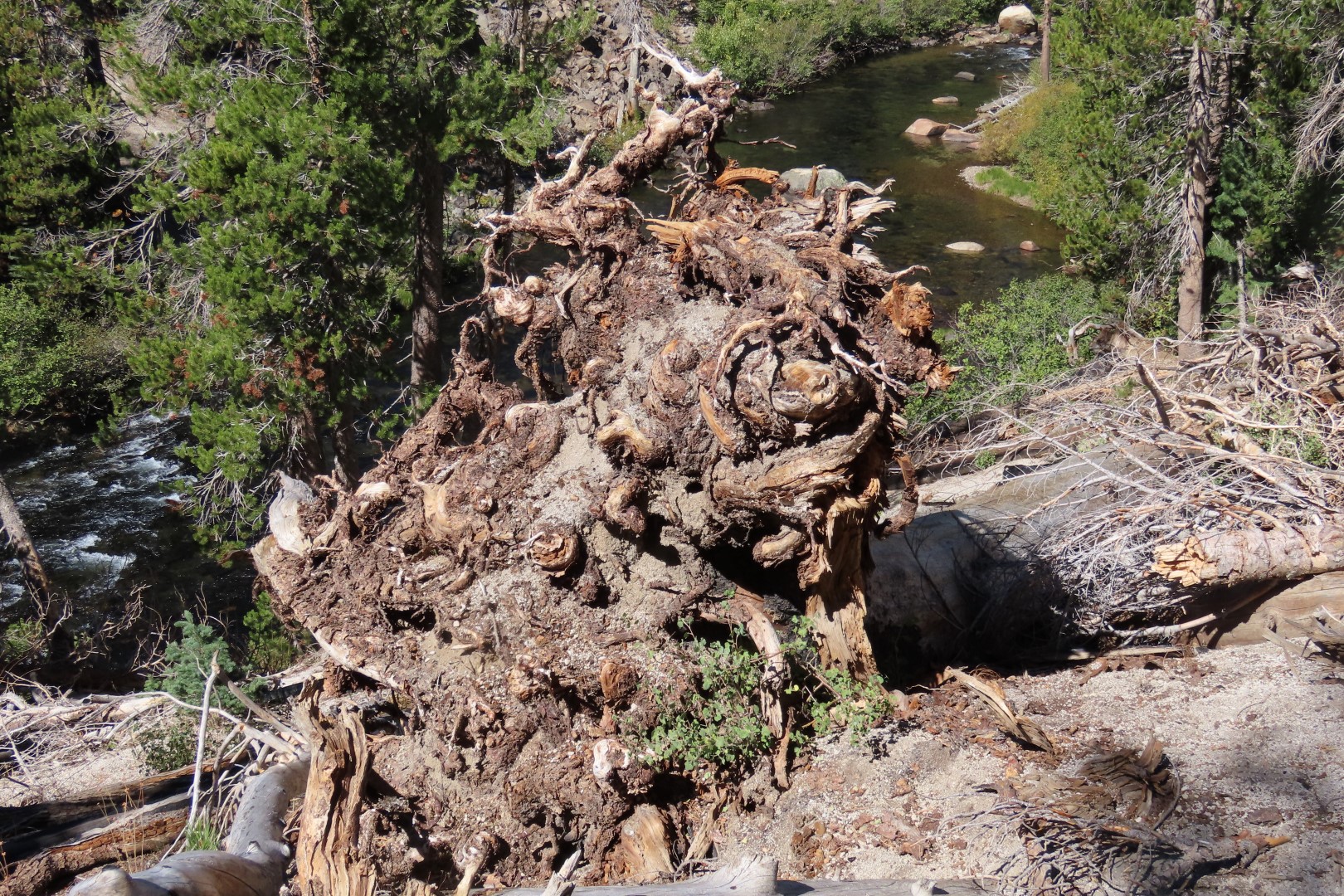 Devils Postpile National Monument 25 of 33 (#7069)