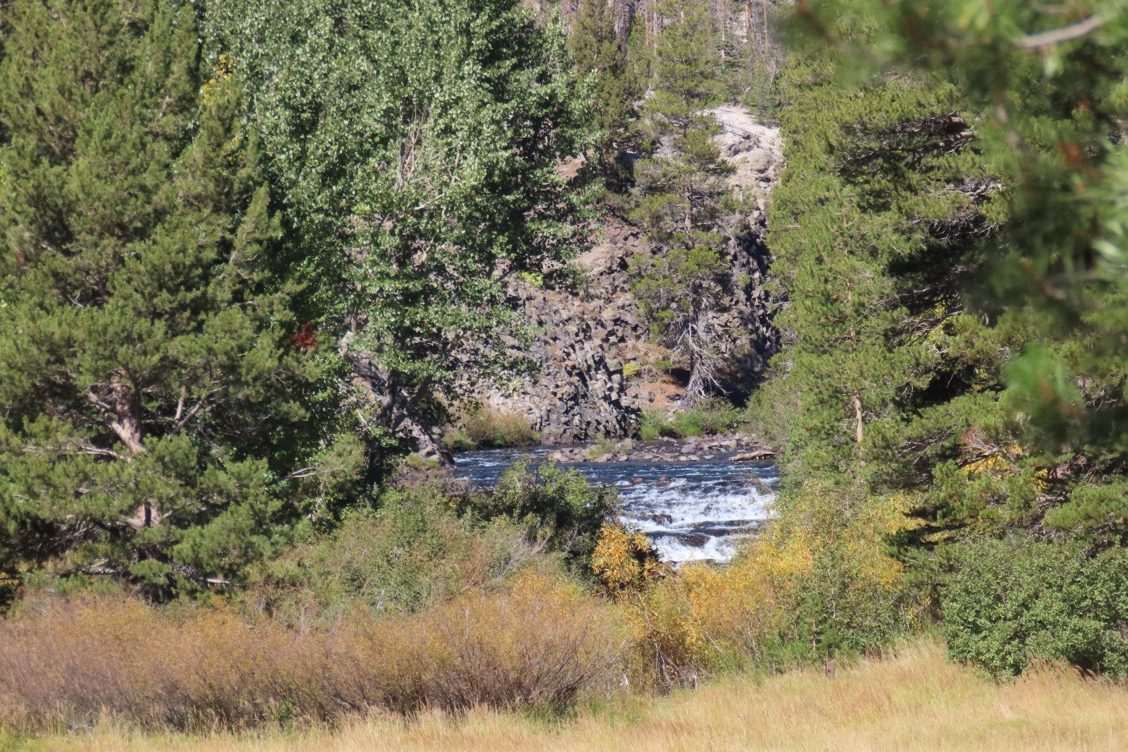 Devils Postpile National Monument 21 of 33 (#7070)