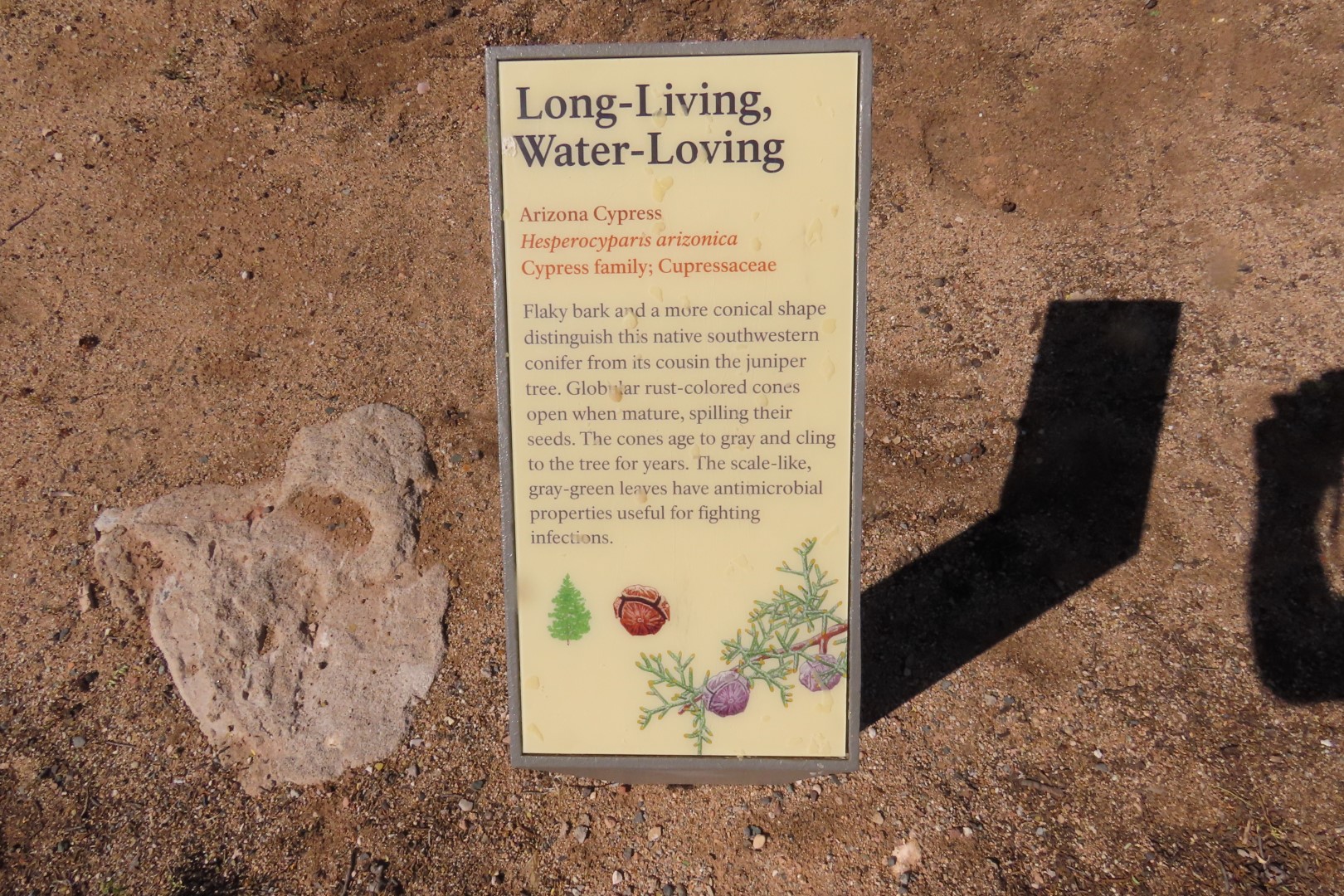 Tuzigoot National Monument 11 of 61 (#7133)