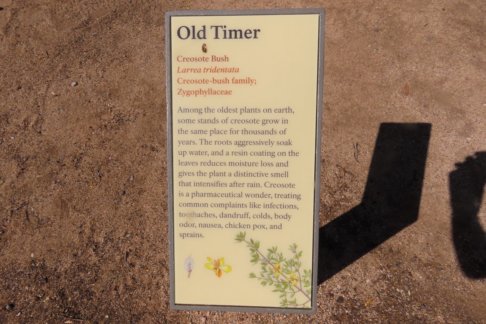 Tuzigoot National Monument 12 of 61 (#7134)