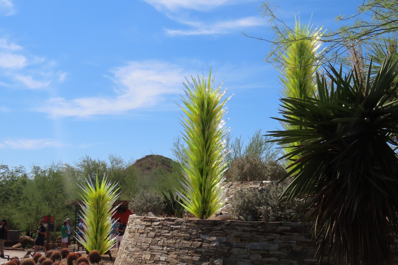 Phoenix Botanical Garden  5 of 25 (#7152)