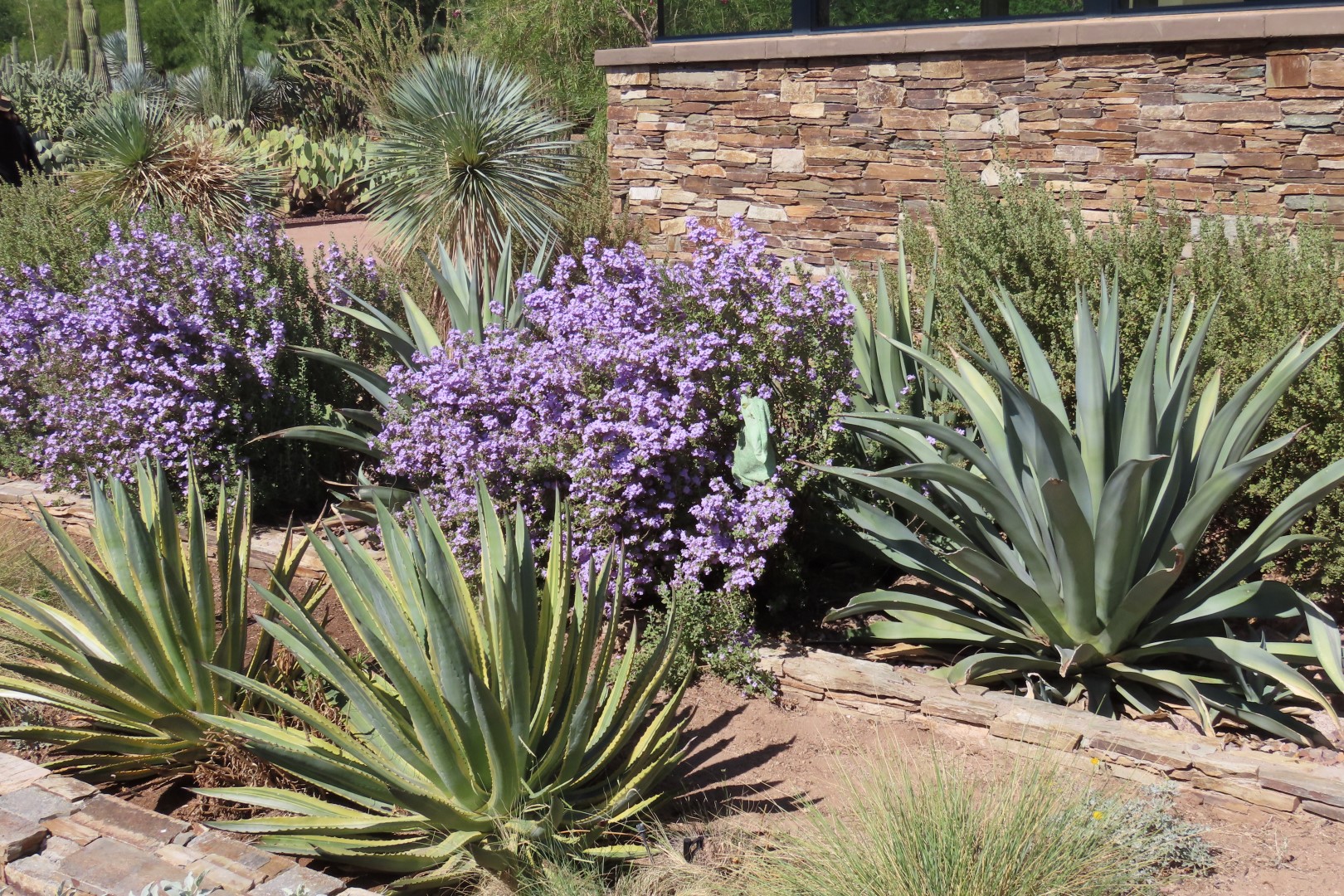 Phoenix Botanical Garden  6 of 25 (#7153)