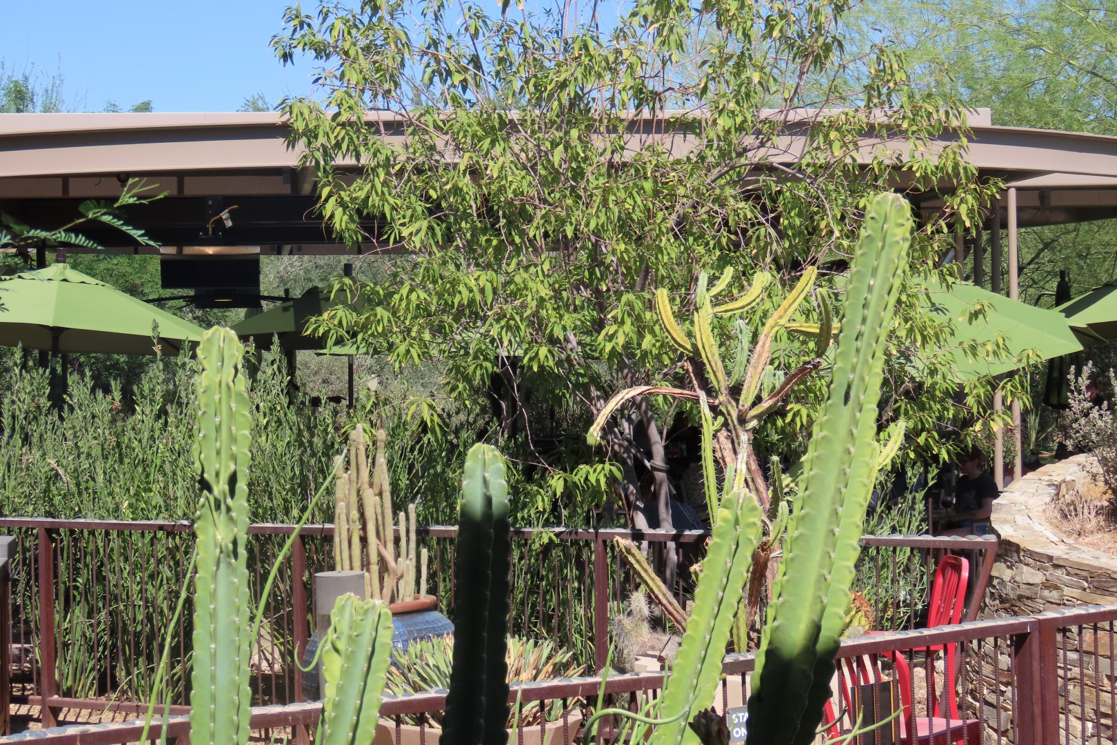 Phoenix Botanical Garden  9 of 25 (#7156)