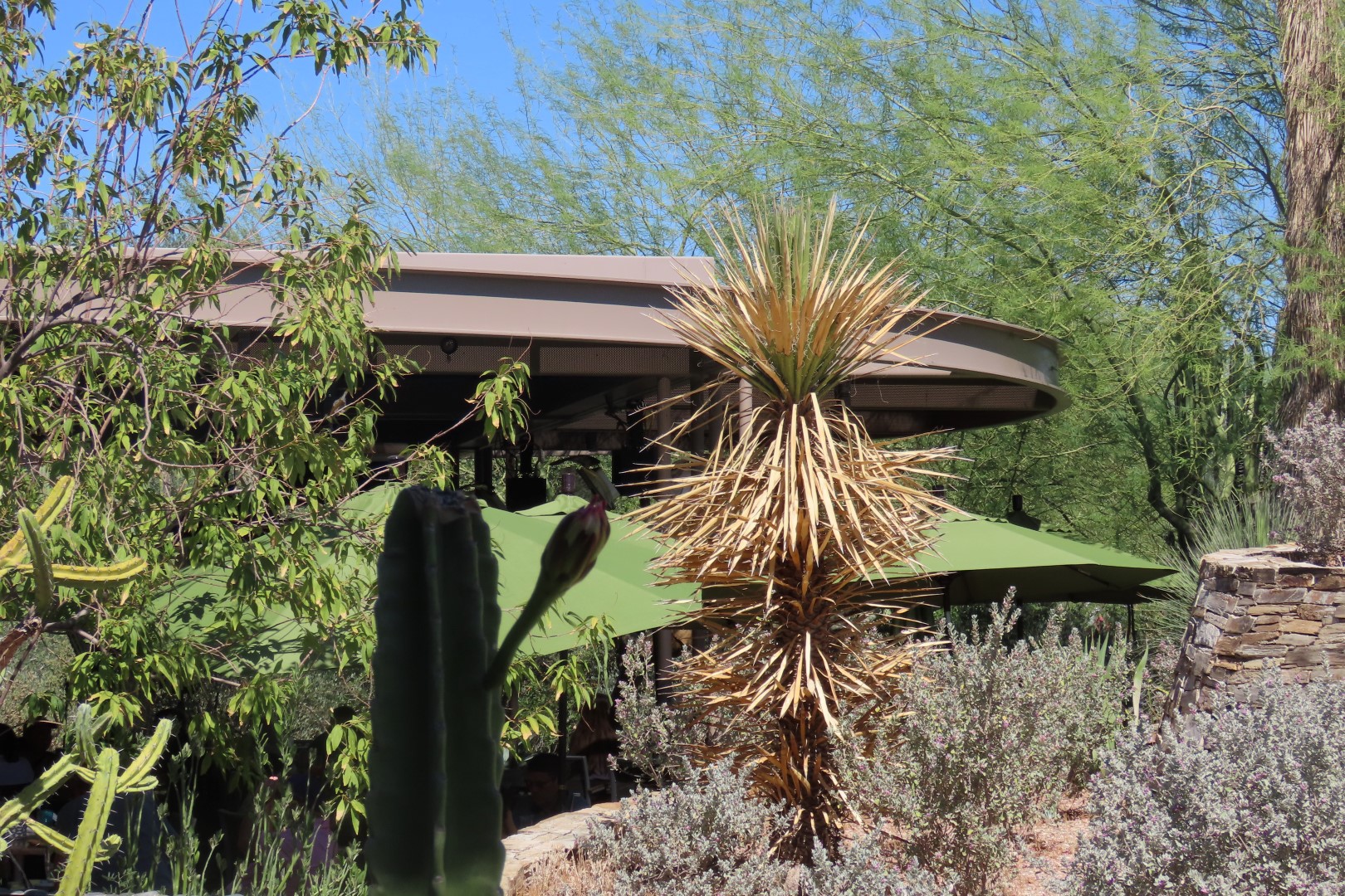 Phoenix Botanical Garden 12 of 25 (#7159)