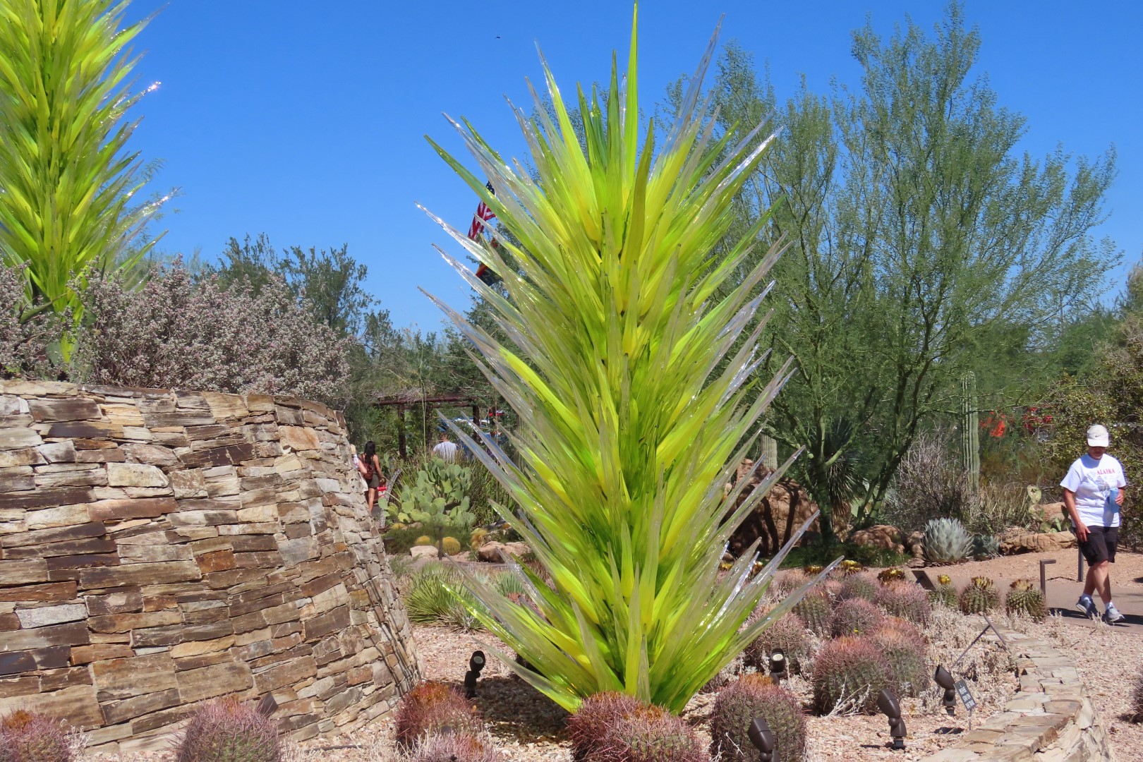 Phoenix Botanical Garden 24 of 25 (#7171)