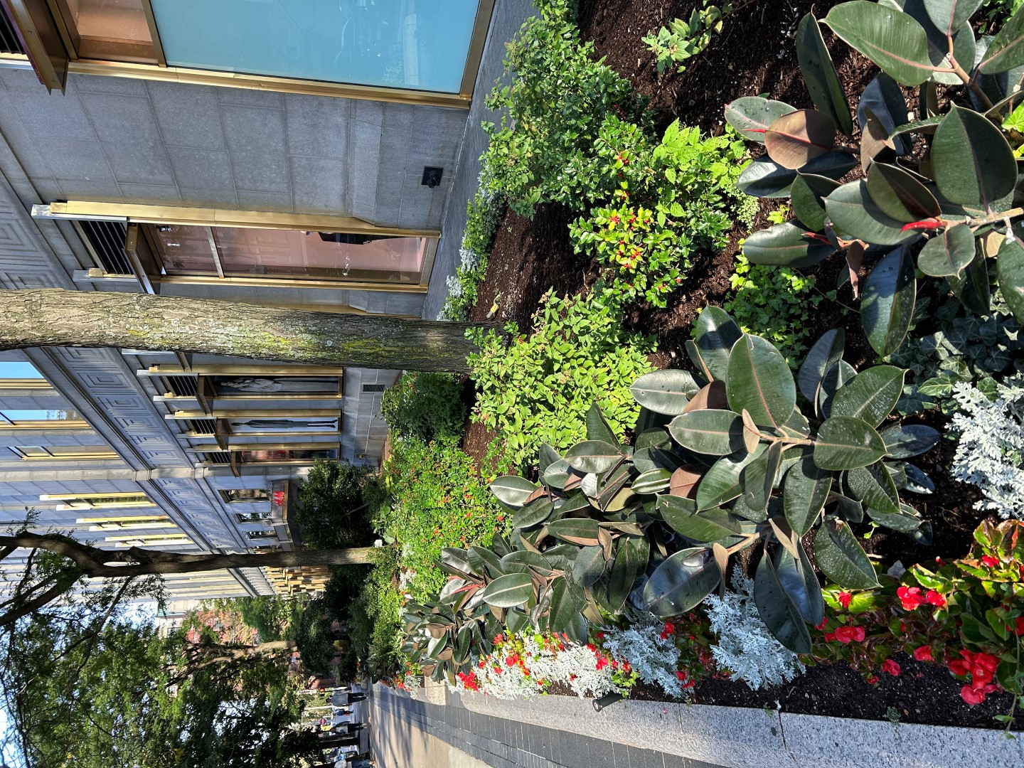 New England Historic Genealogical Society in Boston MA and other Back Back Sites  4 of  6 (#0454)