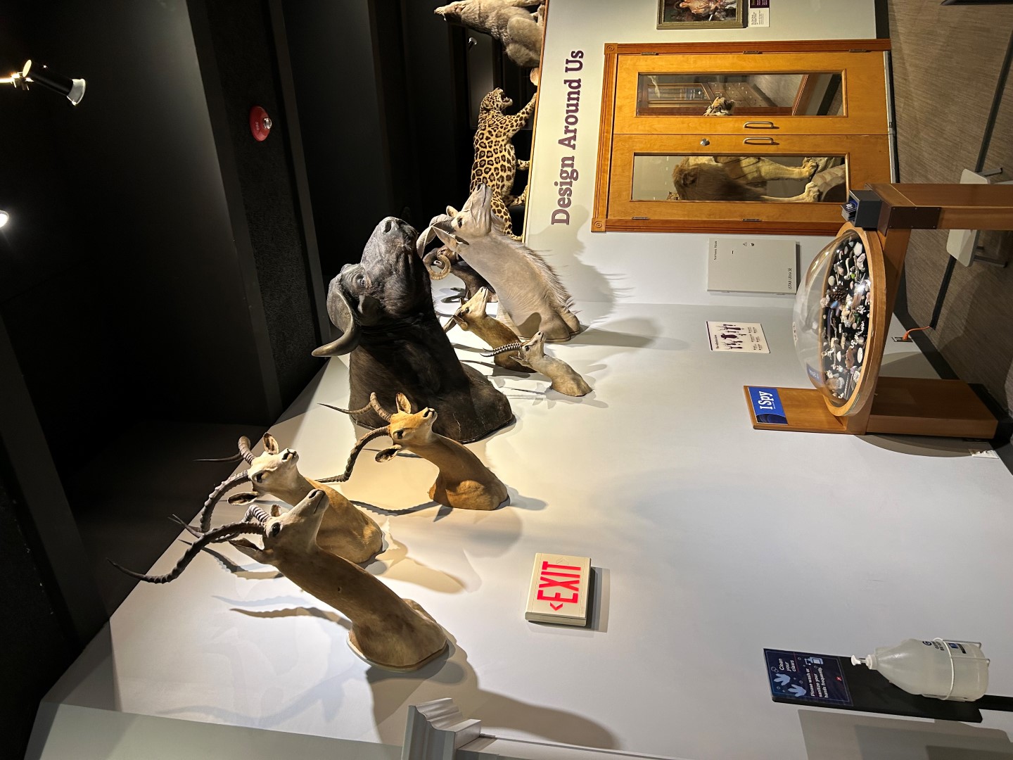 Science Museum  3 of  8 (#0461)