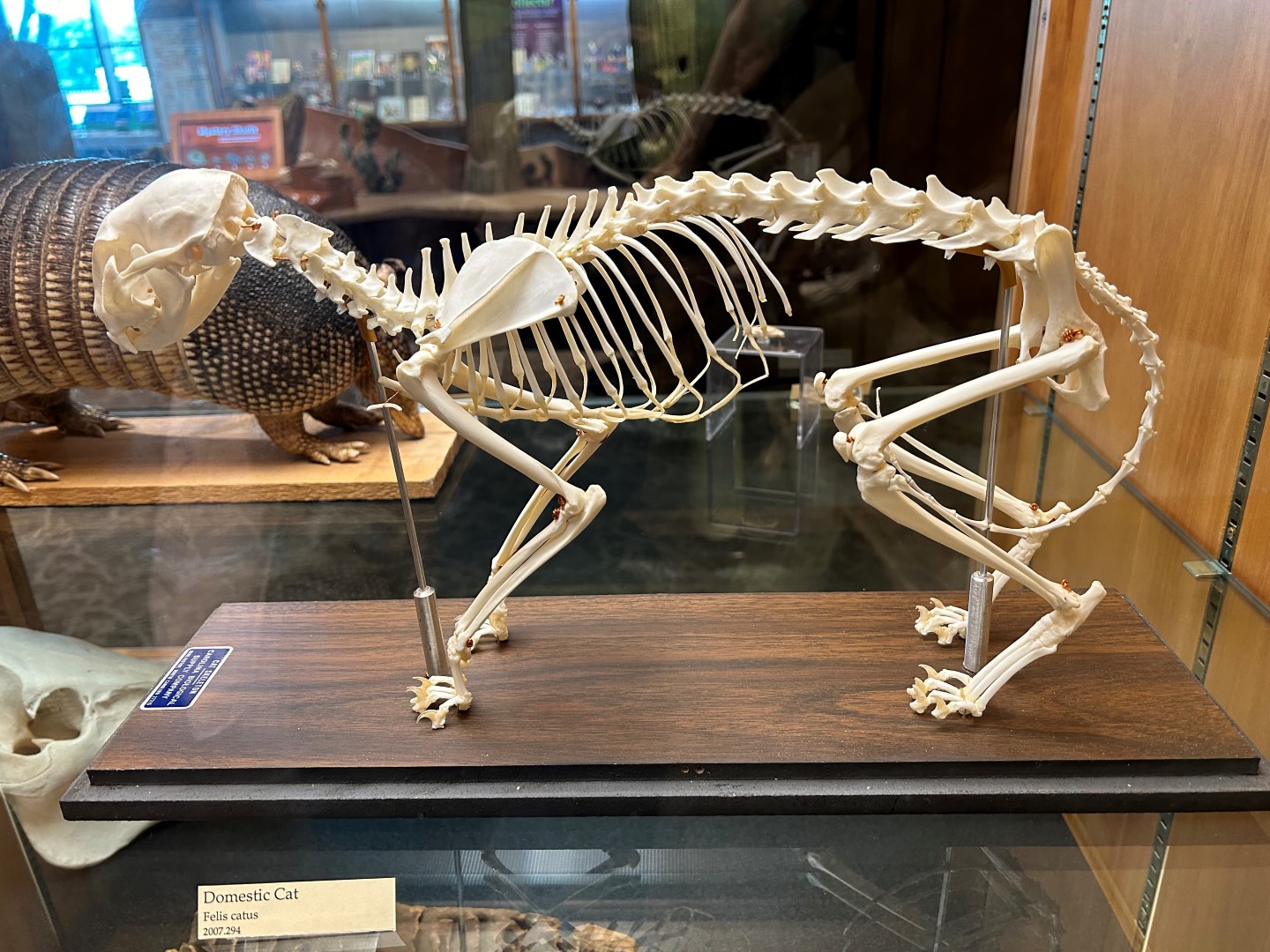 Science Museum  4 of  8 (#0462)