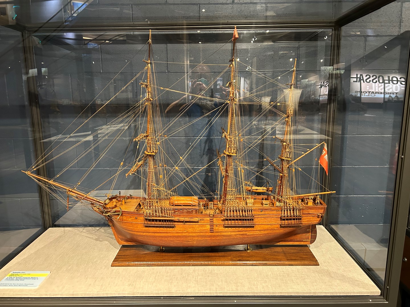 Science Museum  5 of  8 (#0463)