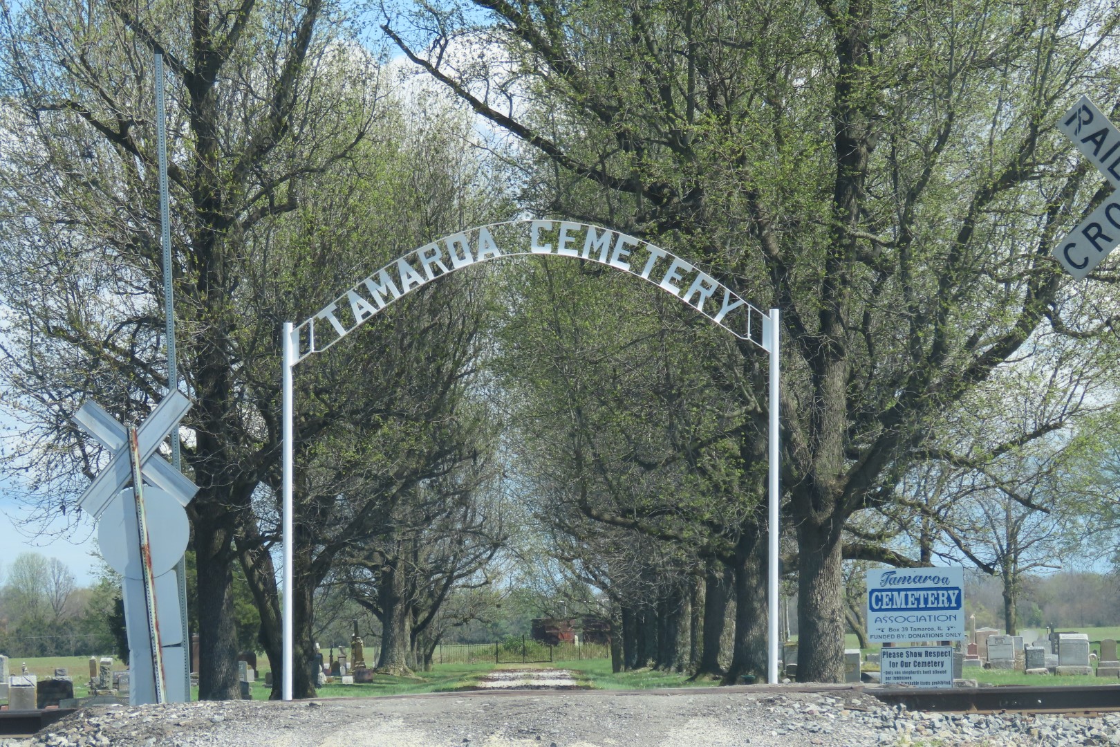 Tamaroa Cemetery  1 of 18 (#7422)