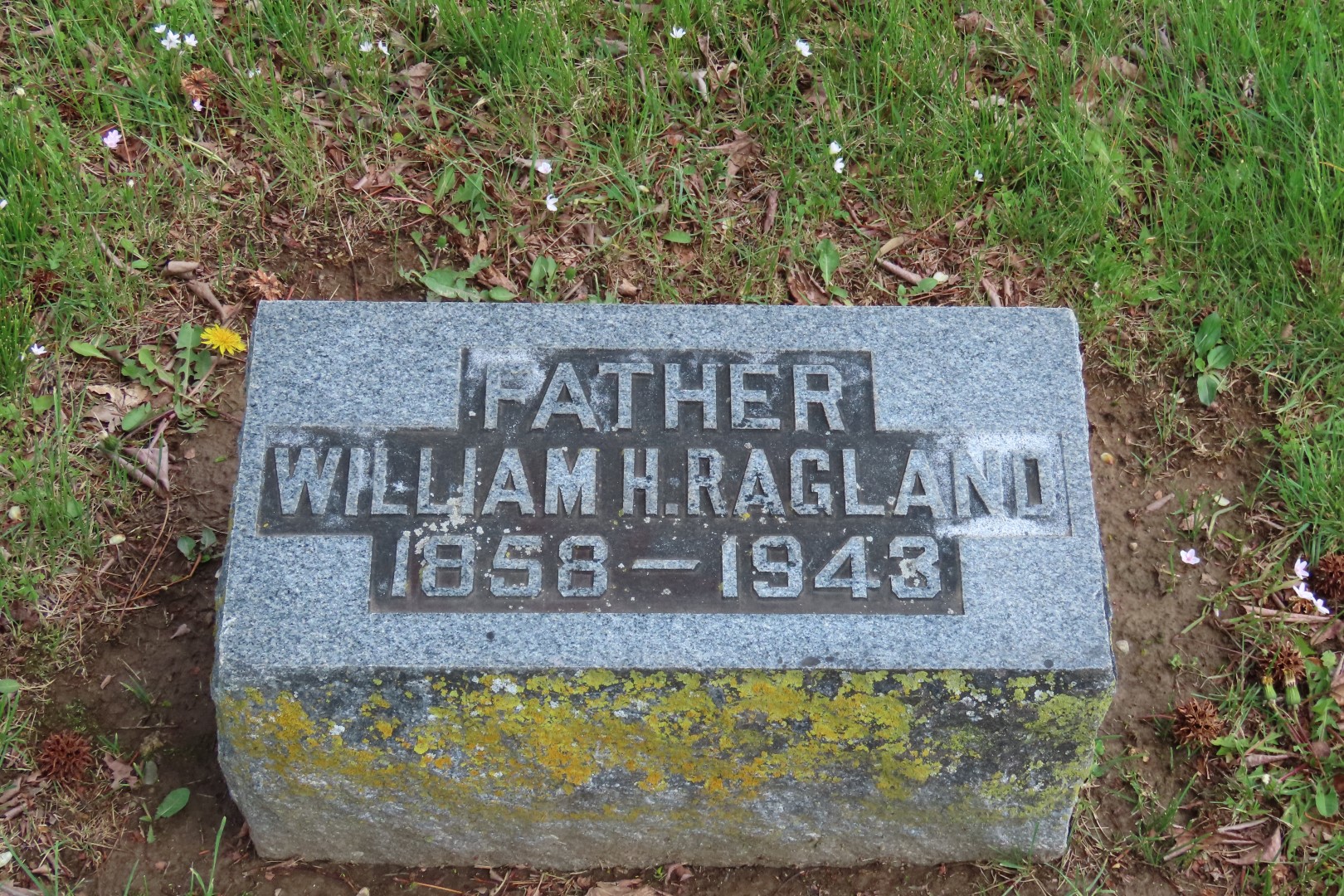 Tamaroa Cemetery 16 of 18 (#7432)