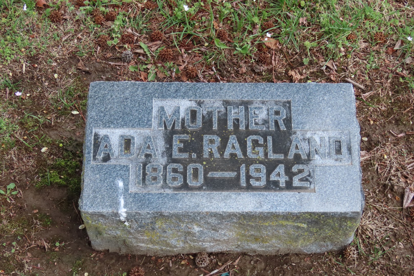 Tamaroa Cemetery 17 of 18 (#7433)