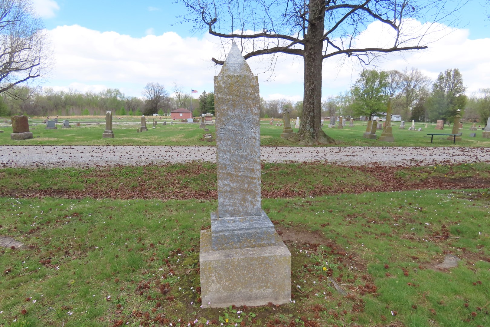 Tamaroa Cemetery  3 of 18 (#7434)