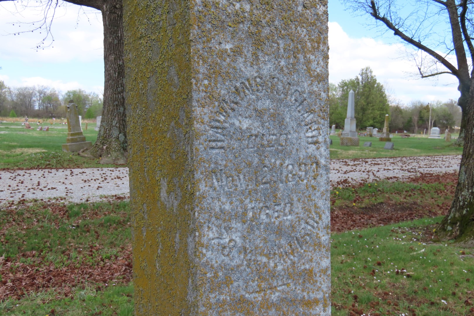 Tamaroa Cemetery  5 of 18 (#7436)