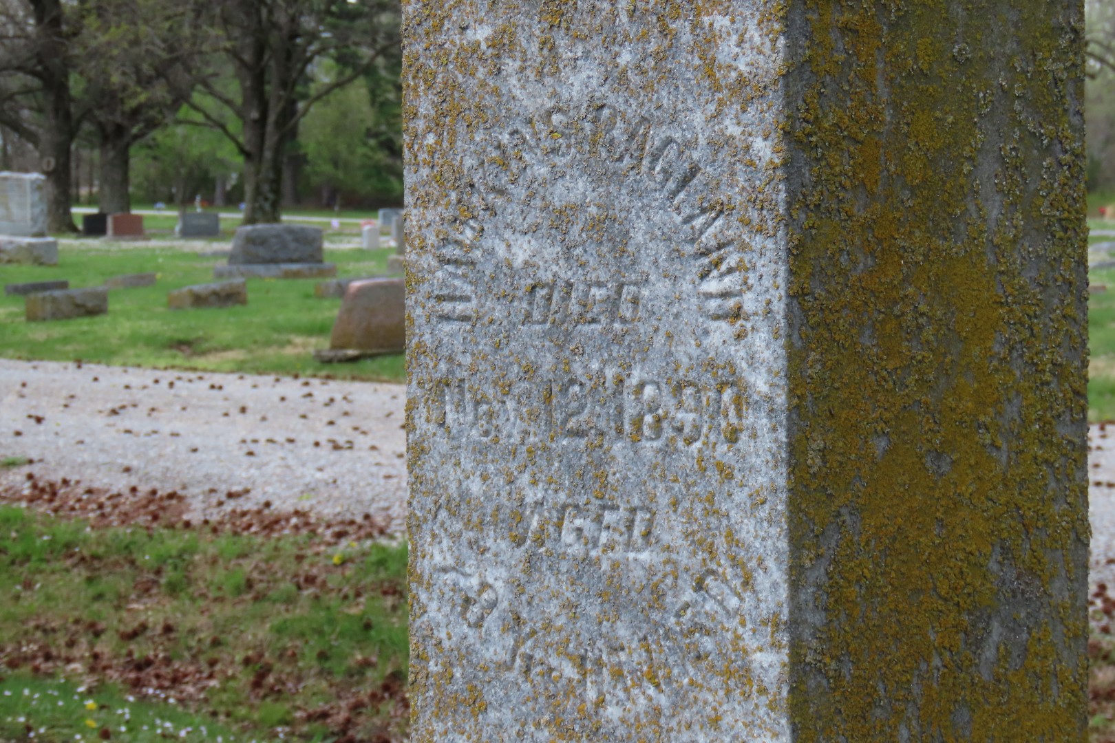 Tamaroa Cemetery  6 of 18 (#7438)