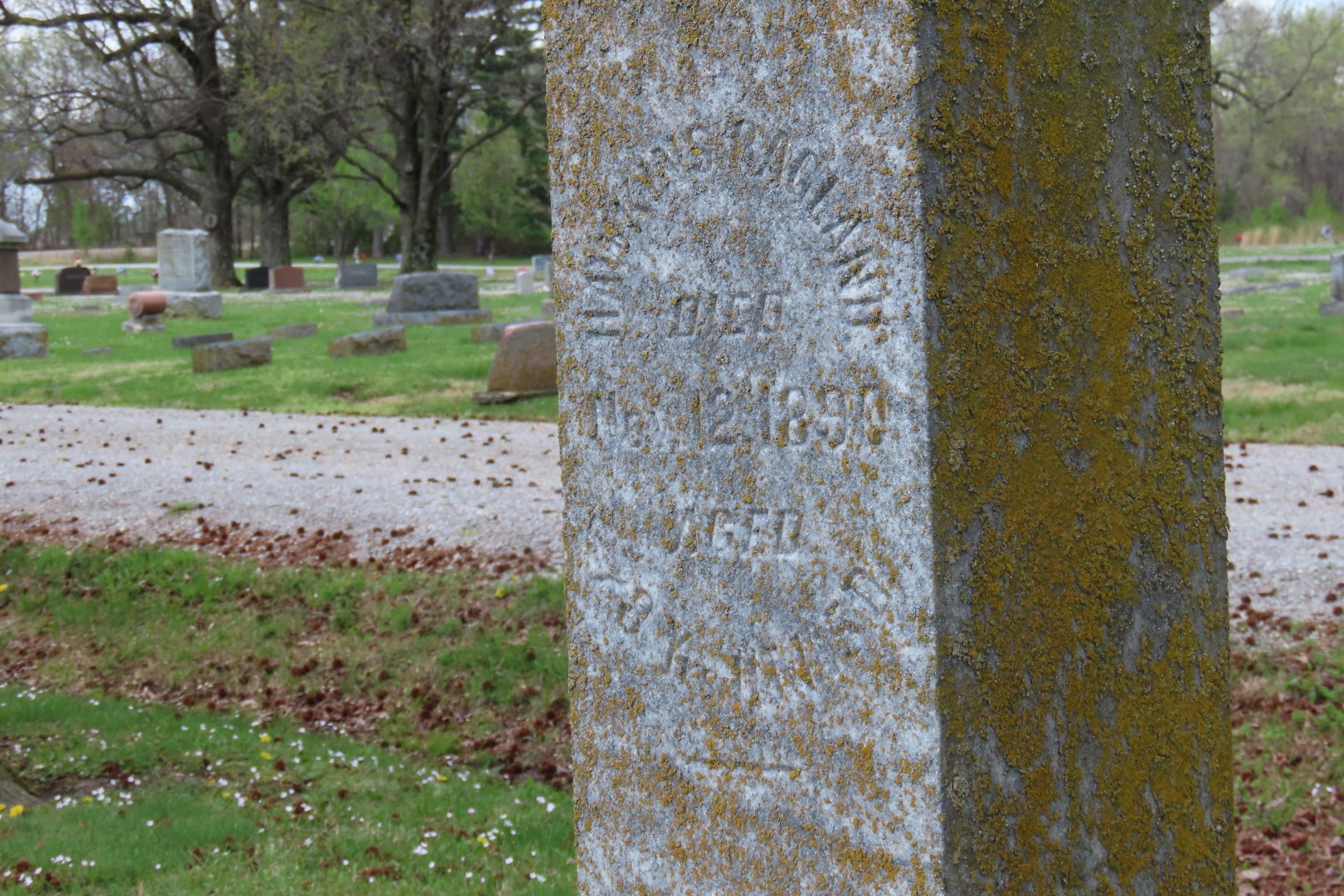 Tamaroa Cemetery  7 of 18 (#7439)
