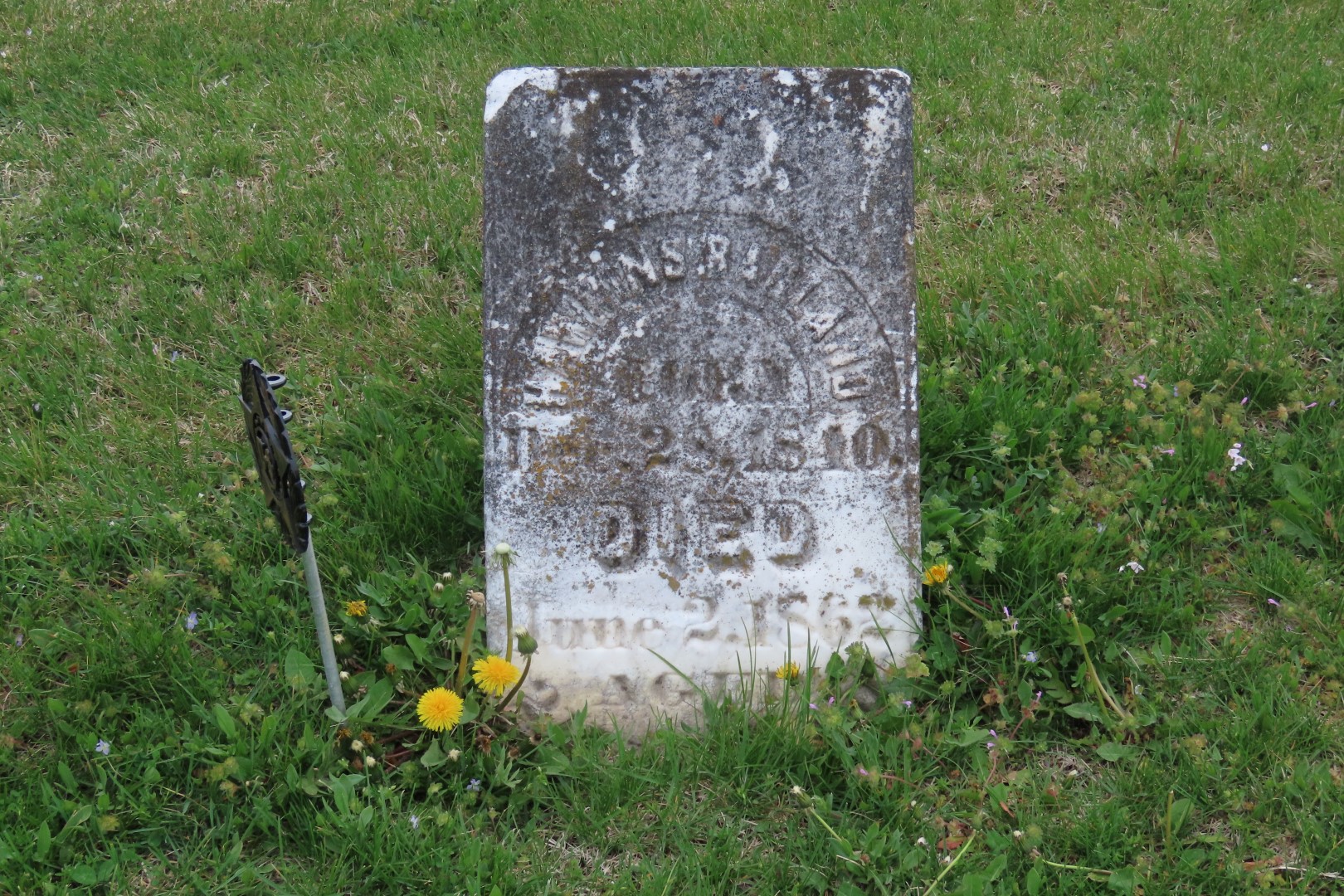 Bethel Cemetery  1 of  4 (#7440)