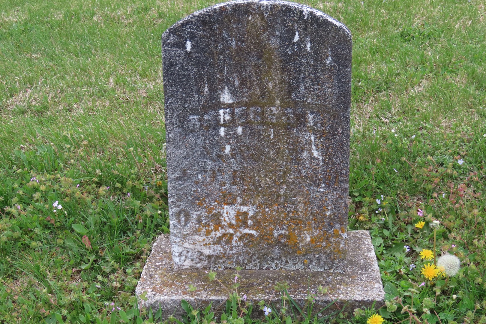 Bethel Cemetery  2 of  4 (#7441)