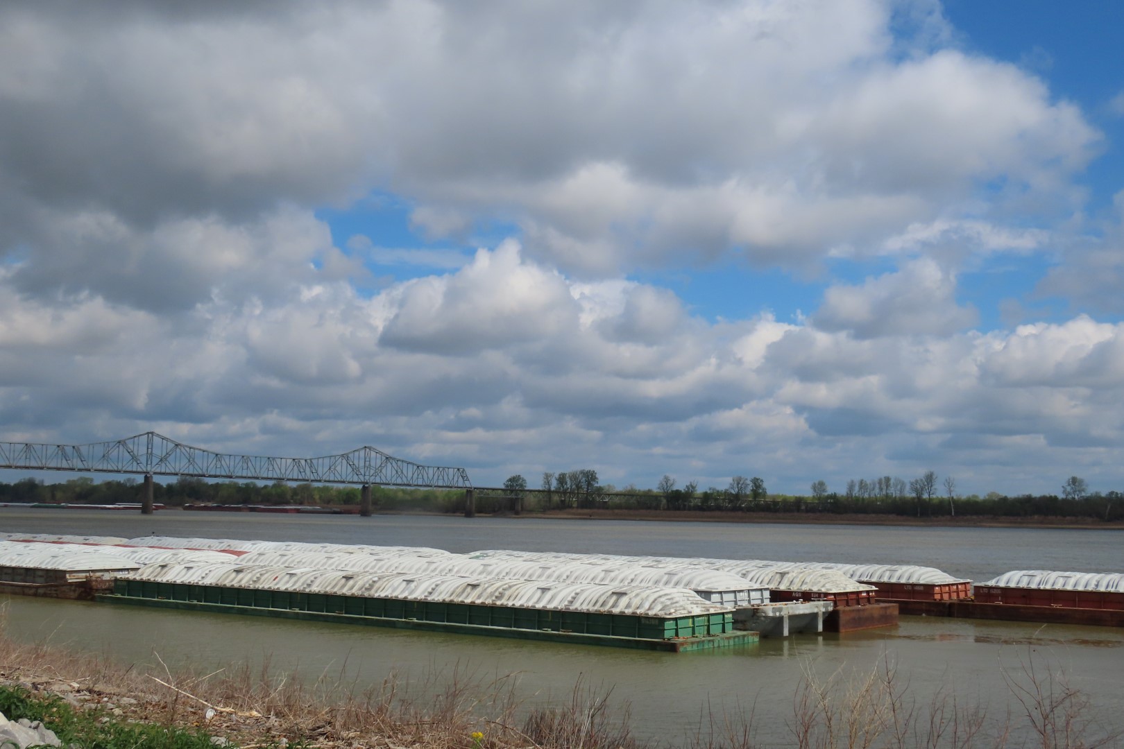 Ohio River meets Mississippi River at Cairo Illinois  1 of  8 (#7444)