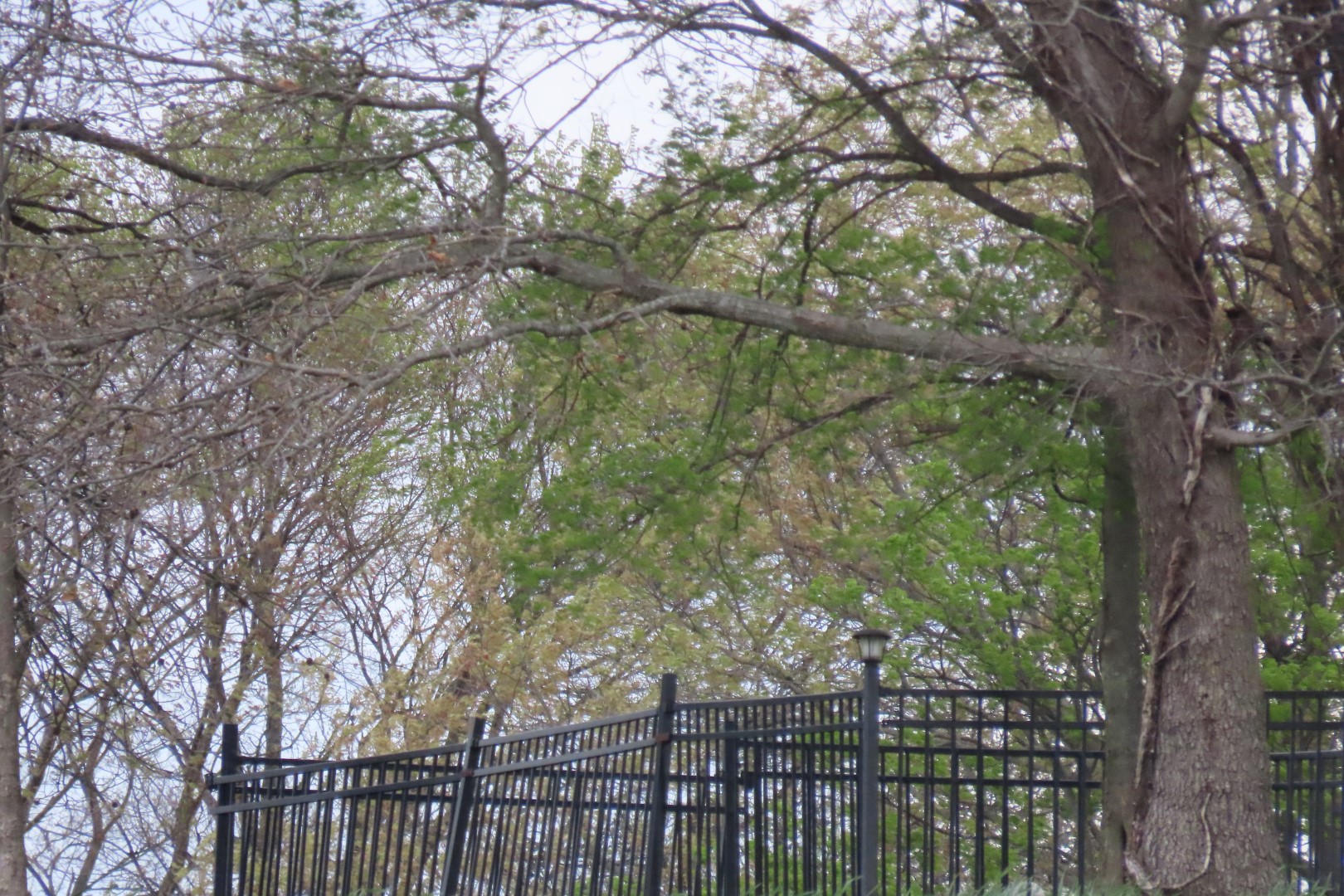 Deaton Cemetery in Friendship, Tennessee  1 of 11 (#7452)