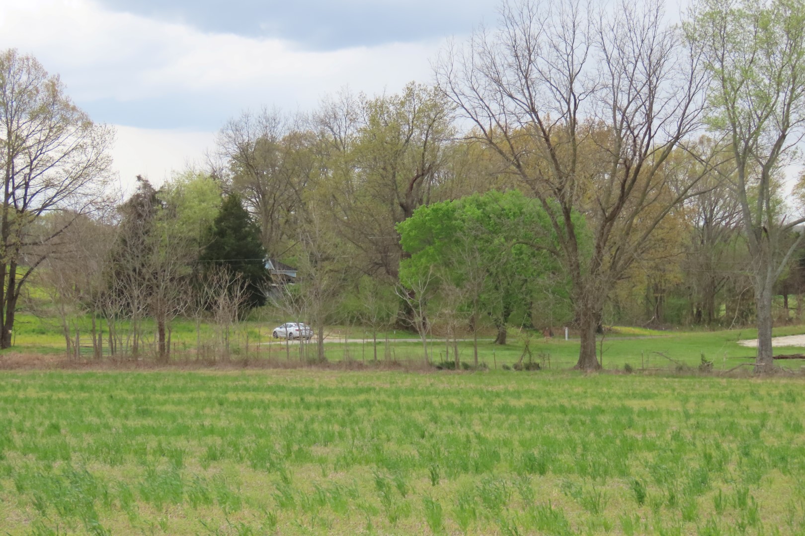 Deaton Cemetery in Friendship, Tennessee  2 of 11 (#7453)
