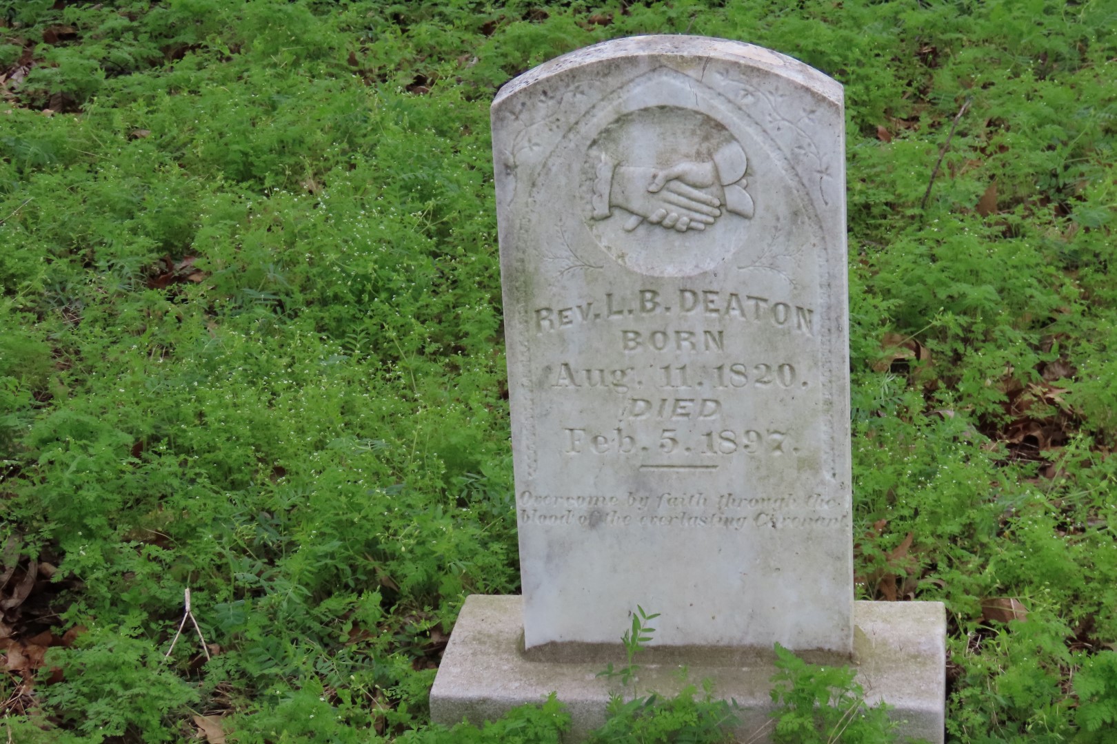 Deaton Cemetery in Friendship, Tennessee  5 of 11 (#7455)