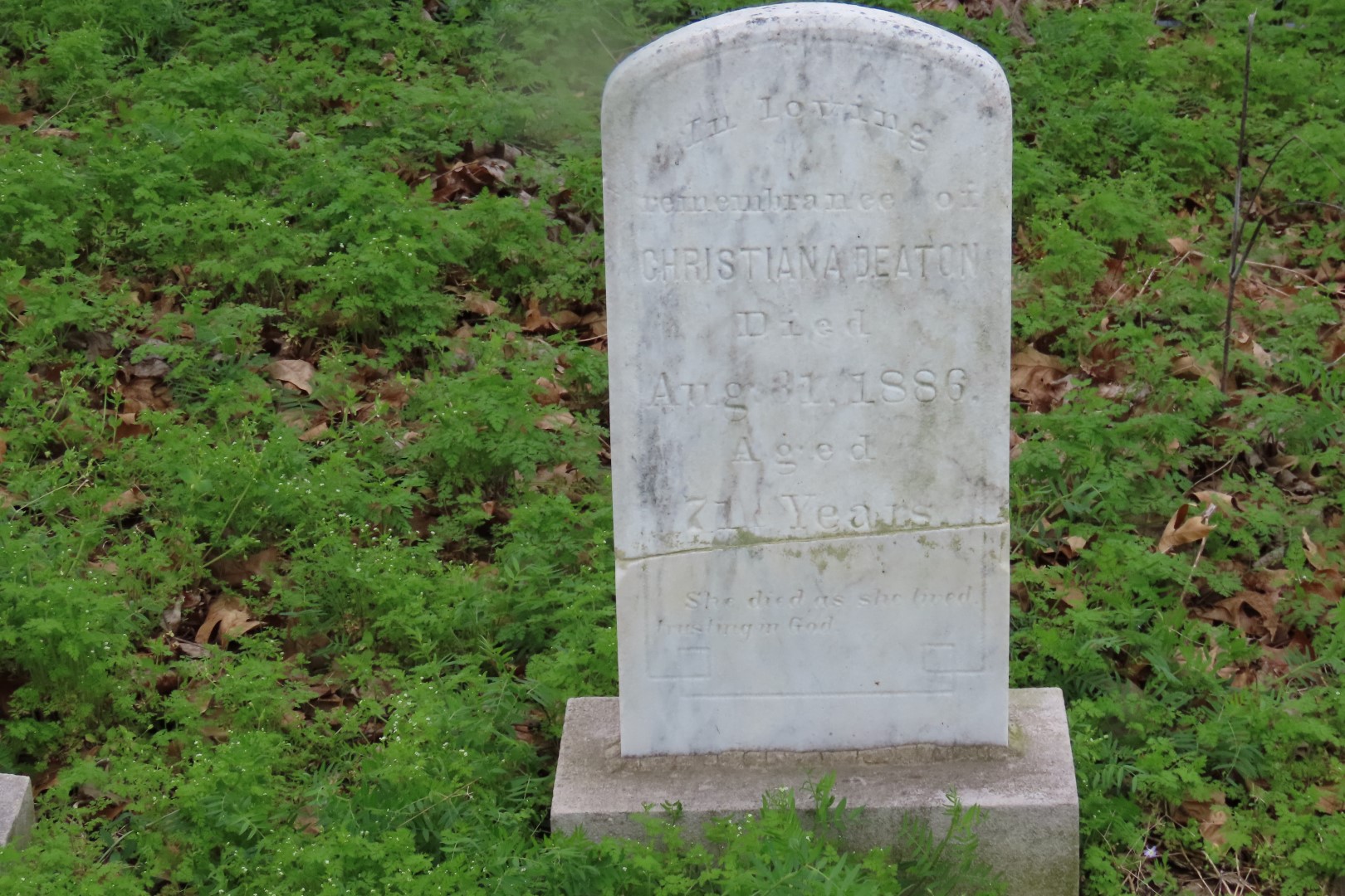 Deaton Cemetery in Friendship, Tennessee  6 of 11 (#7457)