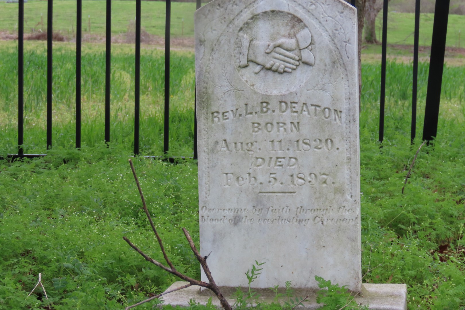 Deaton Cemetery in Friendship, Tennessee  4 of 11 (#7459)