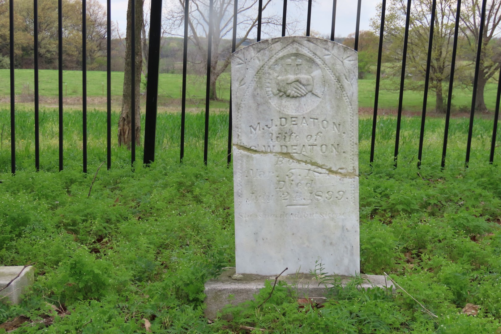 Deaton Cemetery in Friendship, Tennessee  9 of 11 (#7461)
