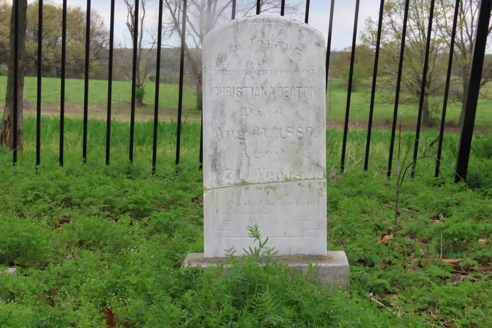 Deaton Cemetery in Friendship, Tennessee  7 of 11 (#7462)