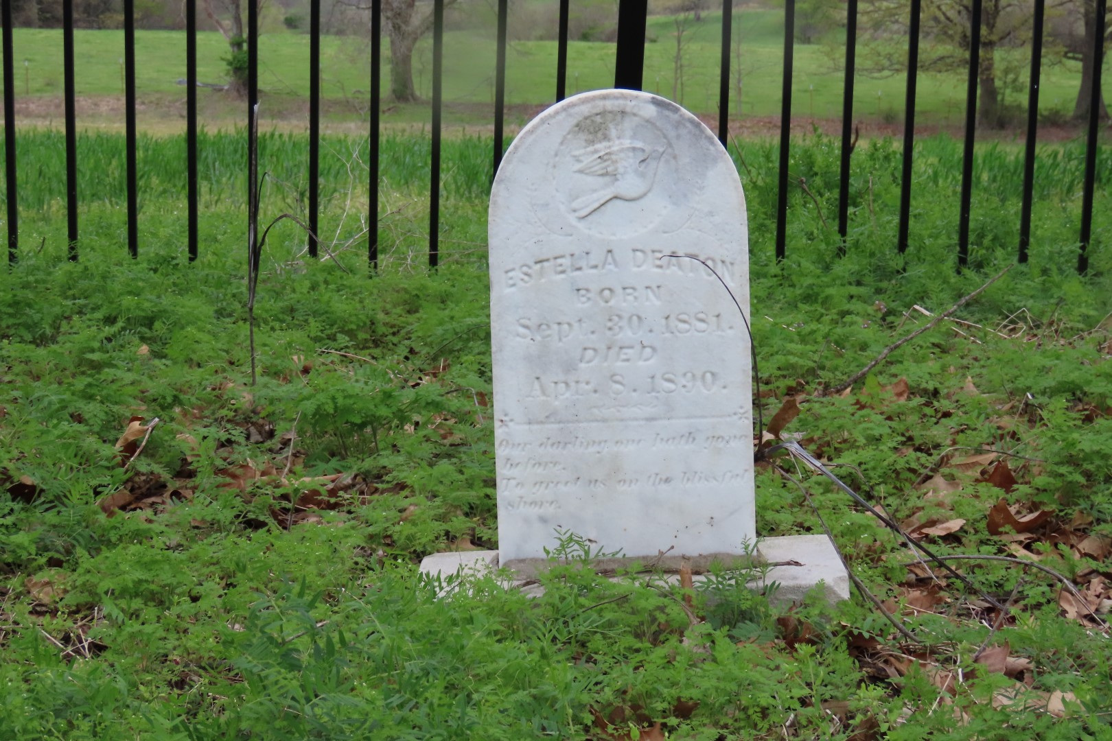 Deaton Cemetery in Friendship, Tennessee 11 of 11 (#7463)