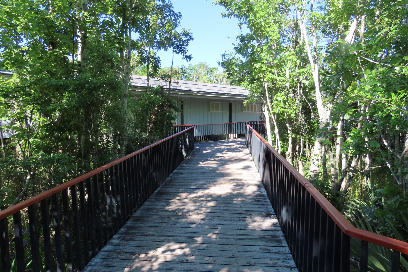 Jean Lafitte Natl Park  3 of 37 (#7482)