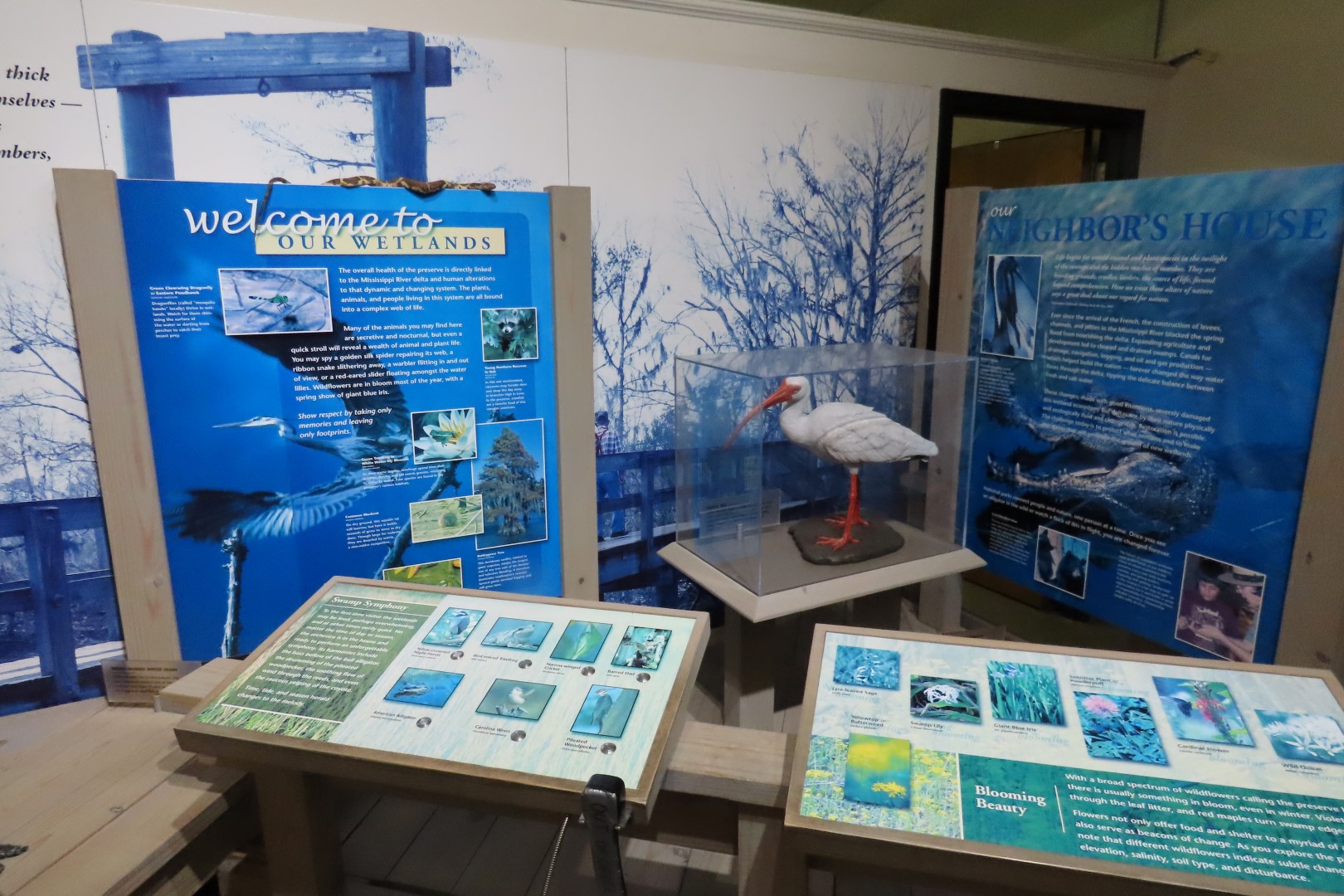 Jean Lafitte Natl Park  5 of 37 (#7484)