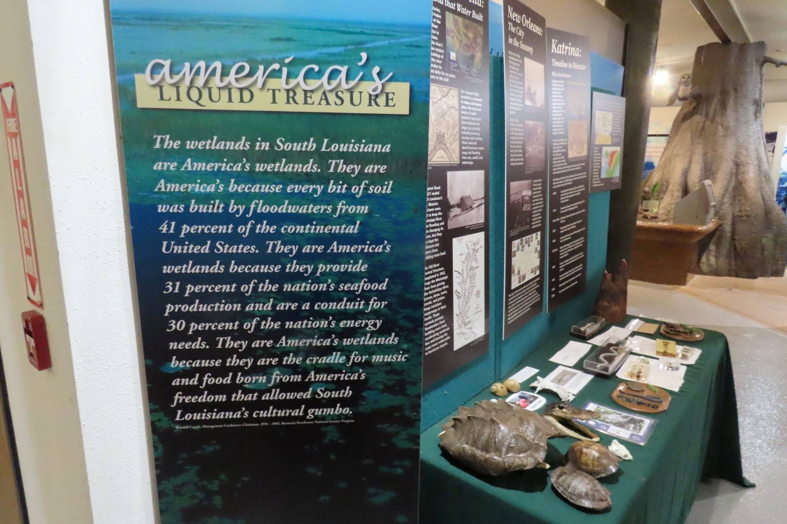 Jean Lafitte Natl Park  6 of 37 (#7485)