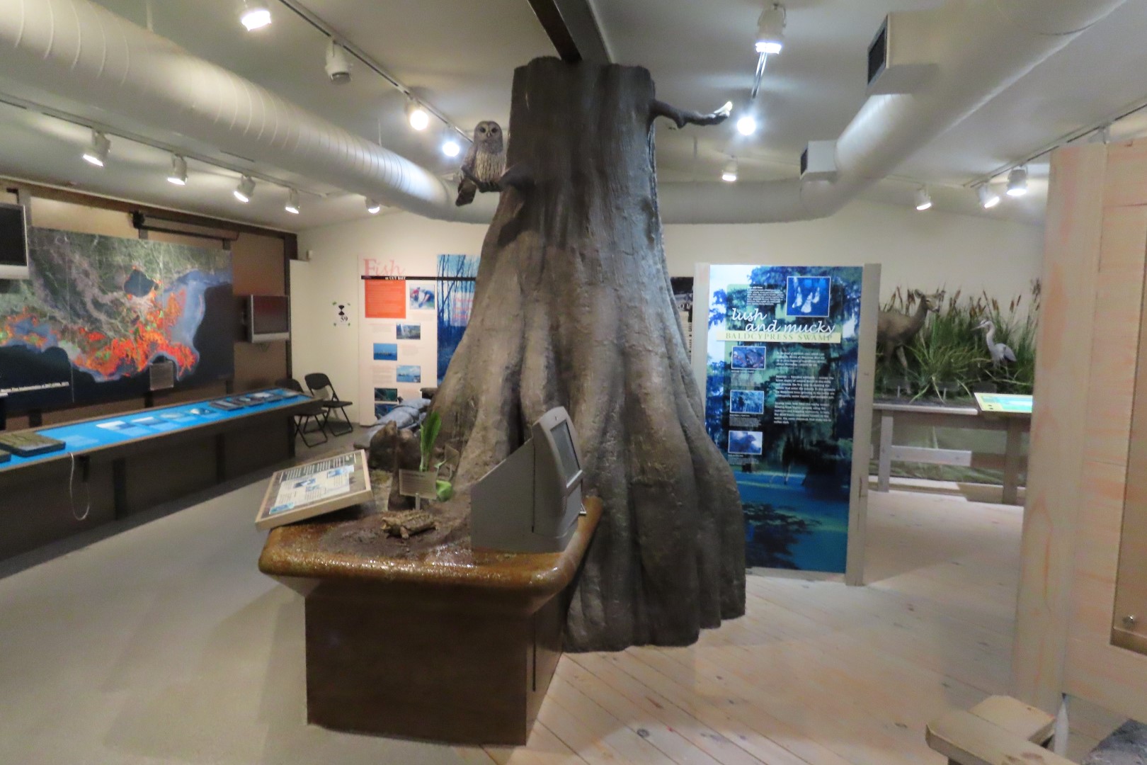 Jean Lafitte Natl Park  8 of 37 (#7487)