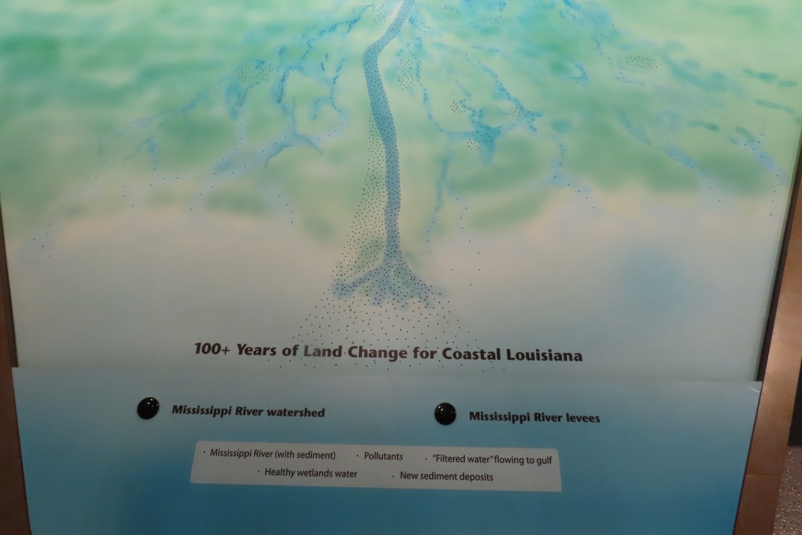 Jean Lafitte Natl Park 16 of 37 (#7494)