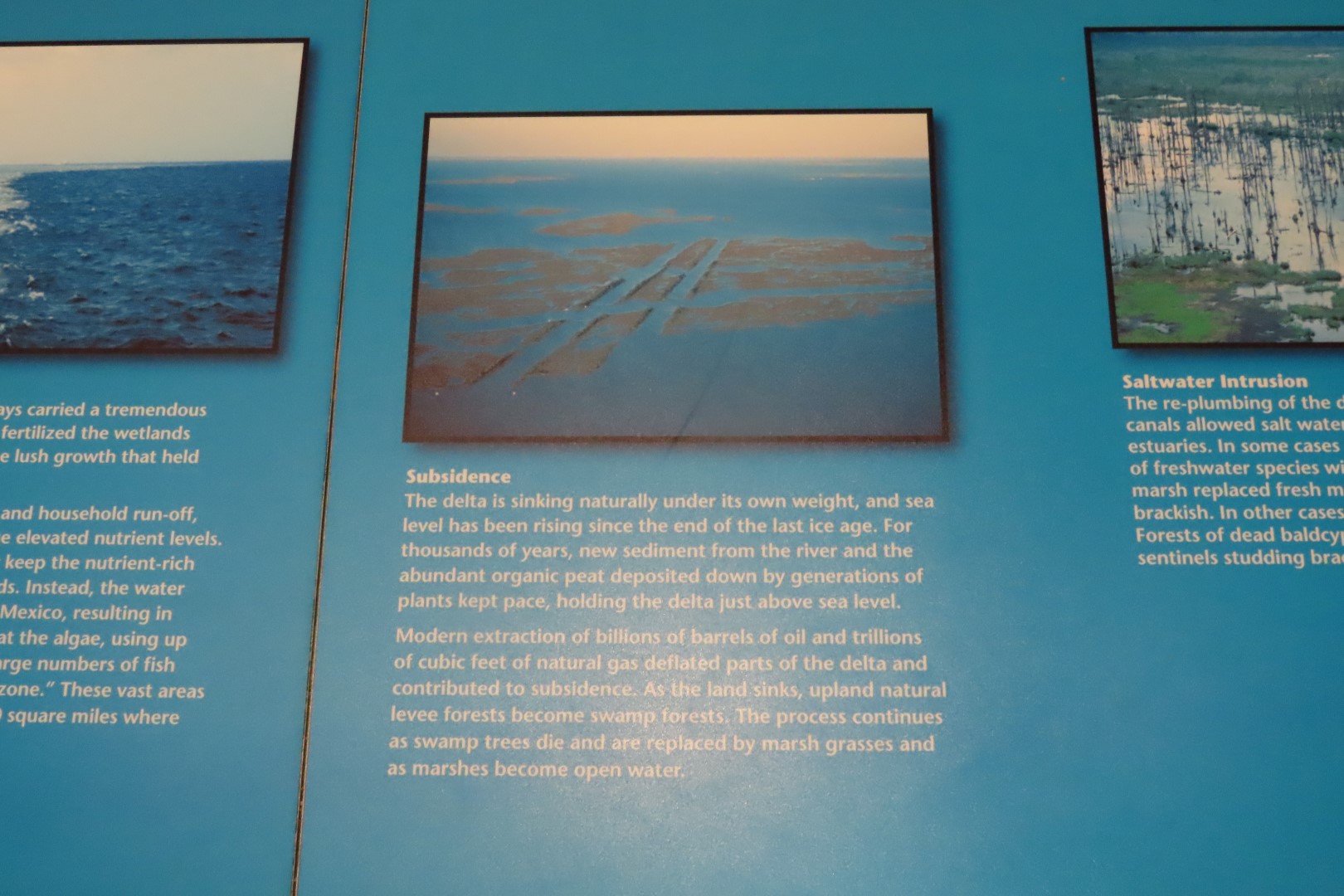 Jean Lafitte Natl Park 19 of 37 (#7497)